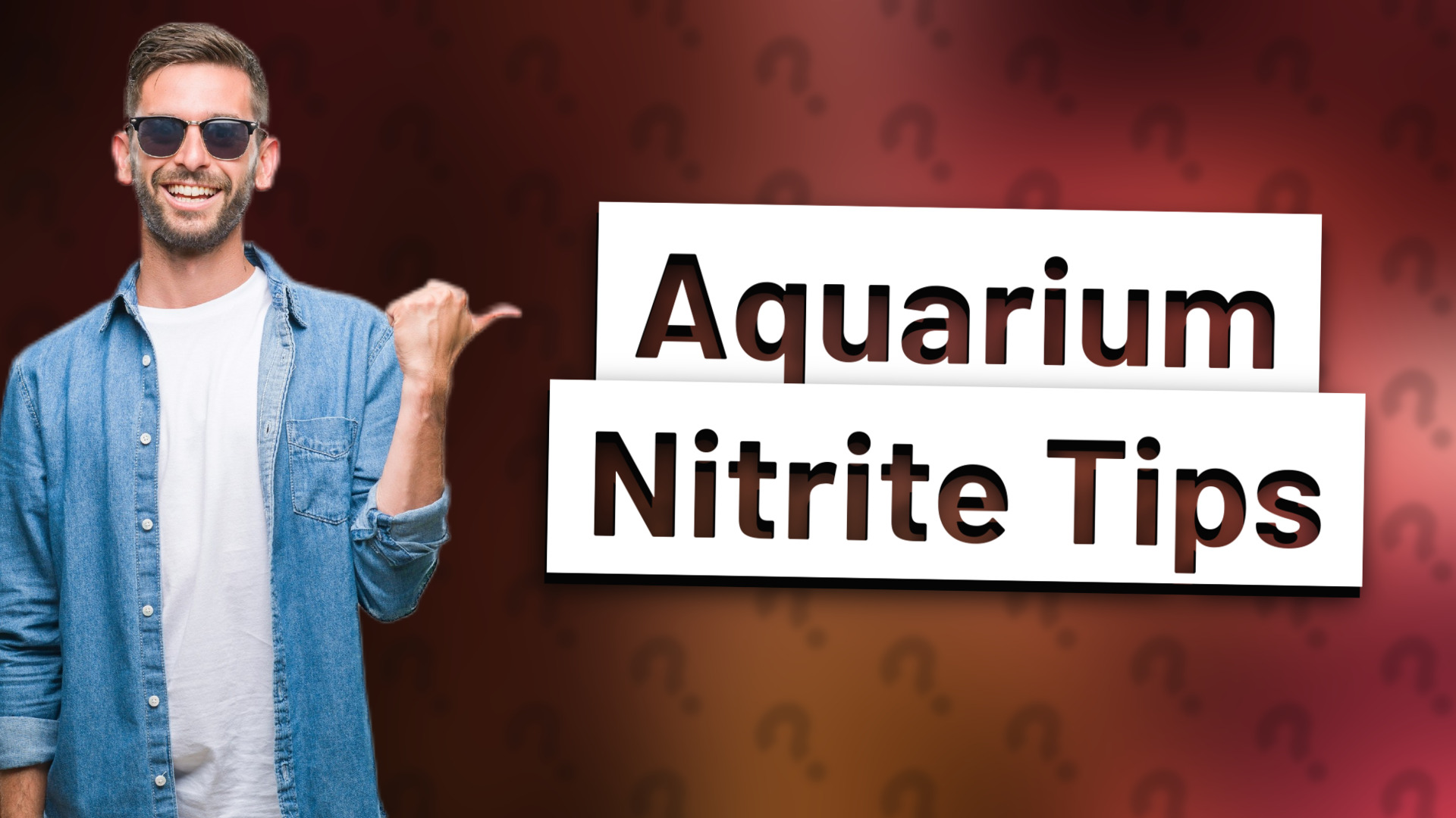 Aquarium Nitrite Tips