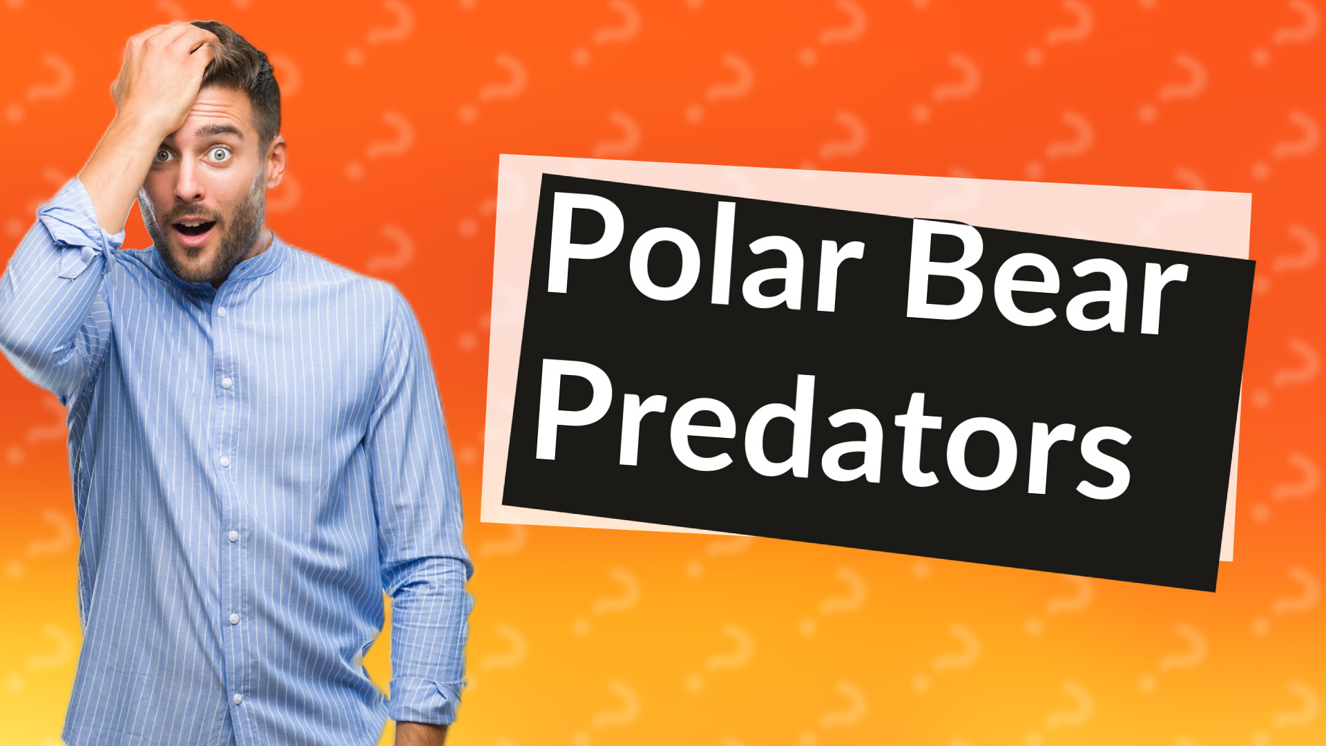 Polar Bear Predators