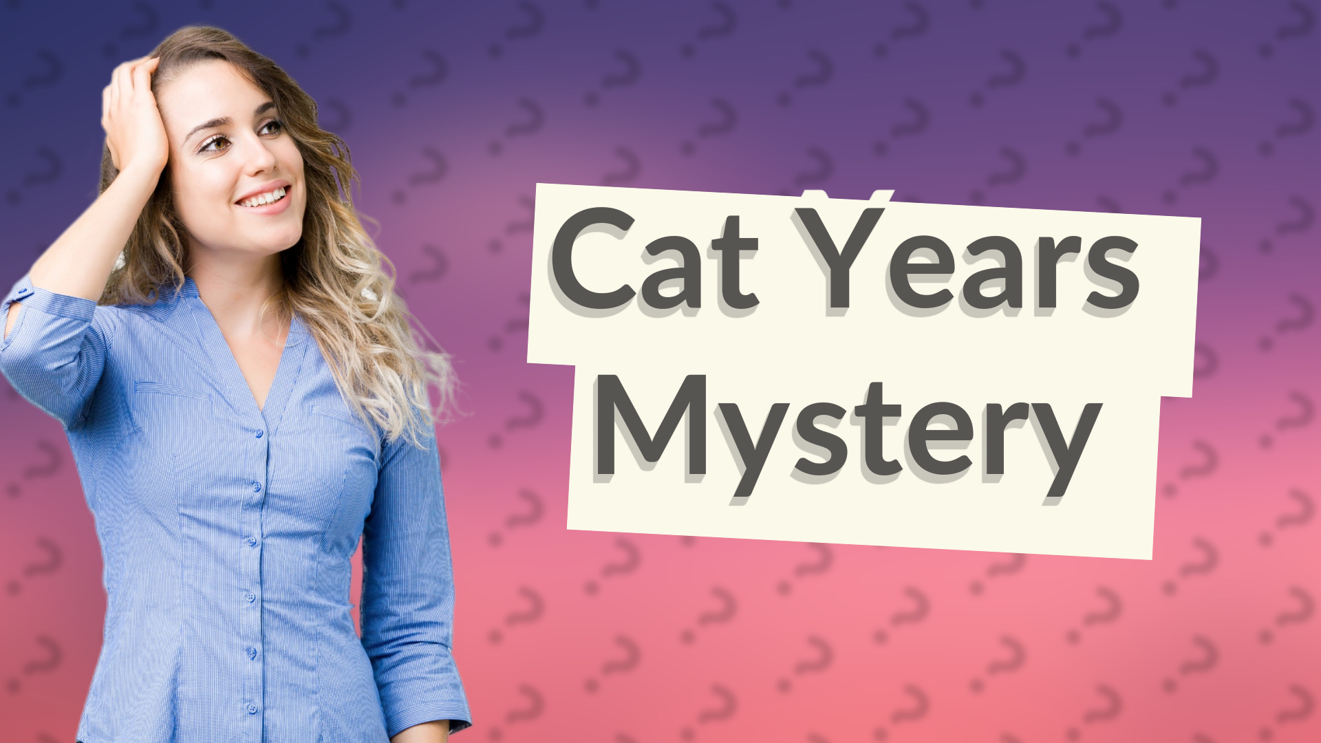 Cat Years Mystery