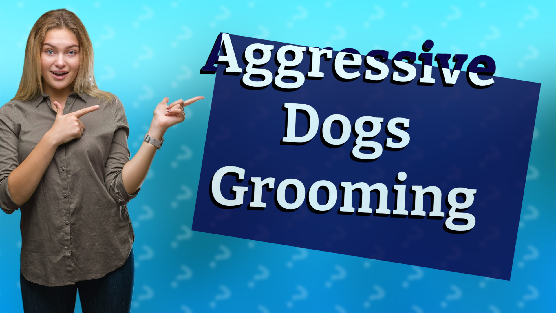 Aggressive Dogs Grooming