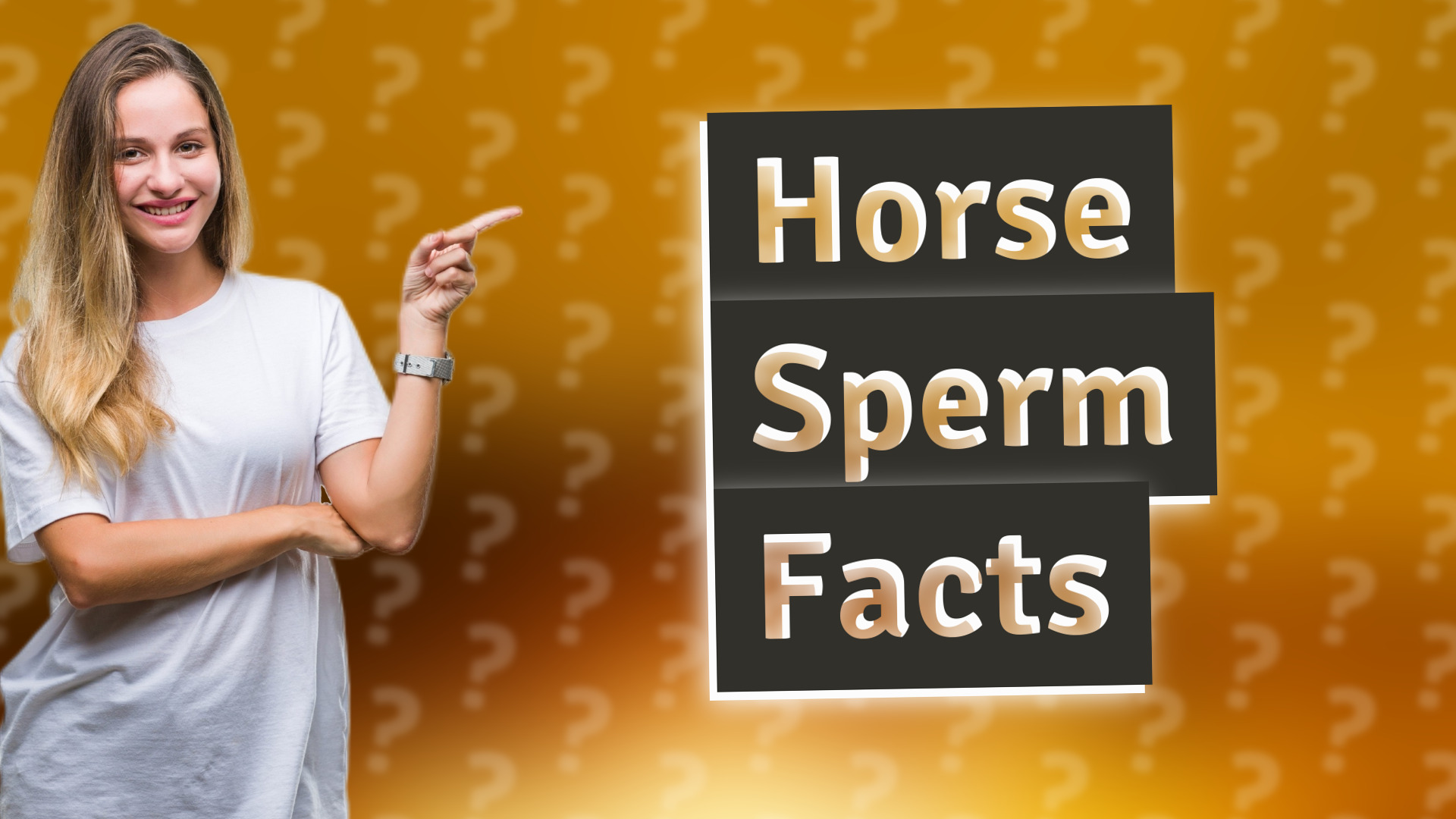 Horse Sperm Facts