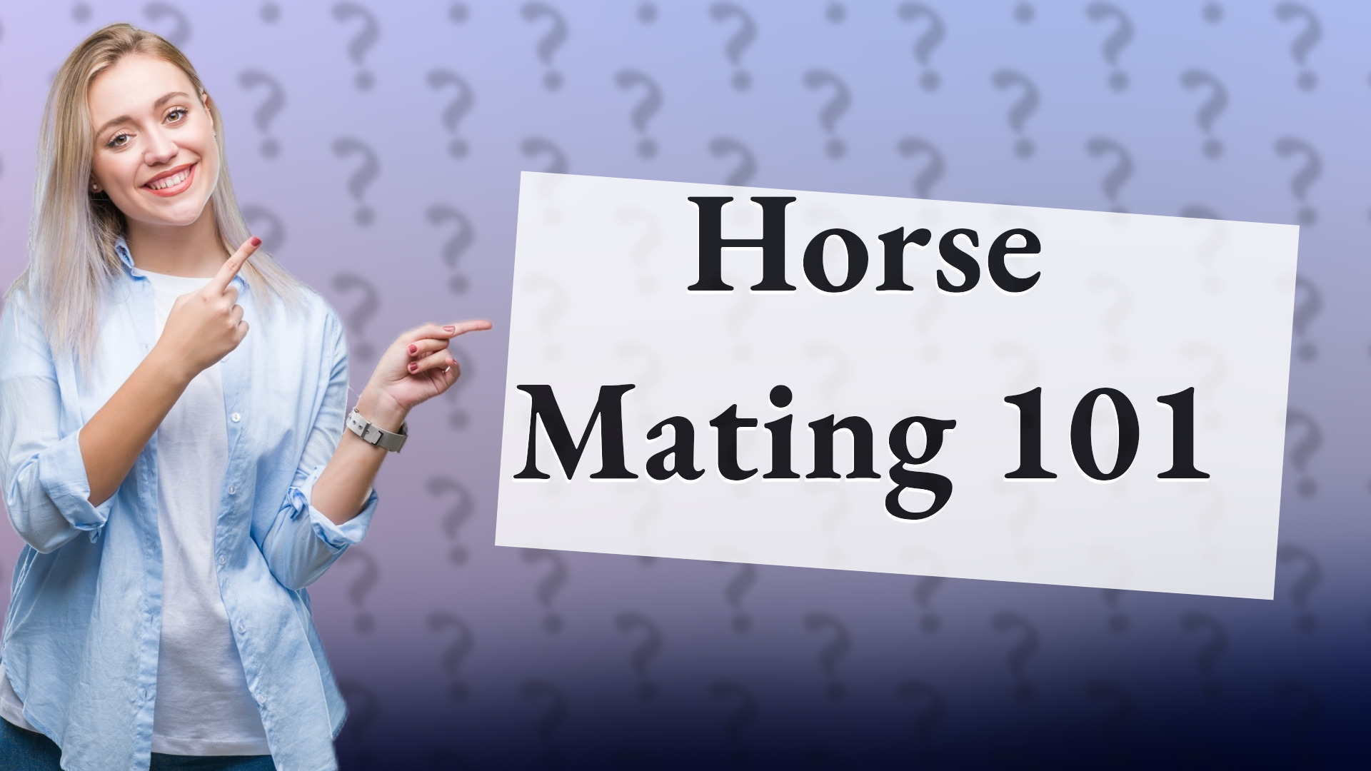 Horse Mating 101