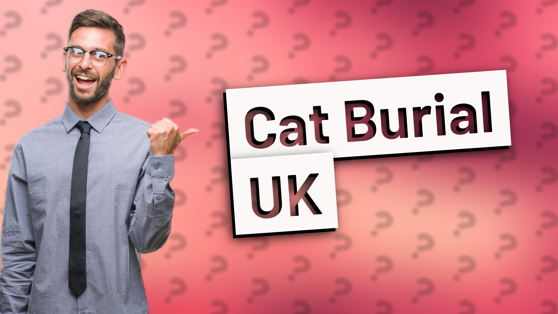 Cat Burial UK