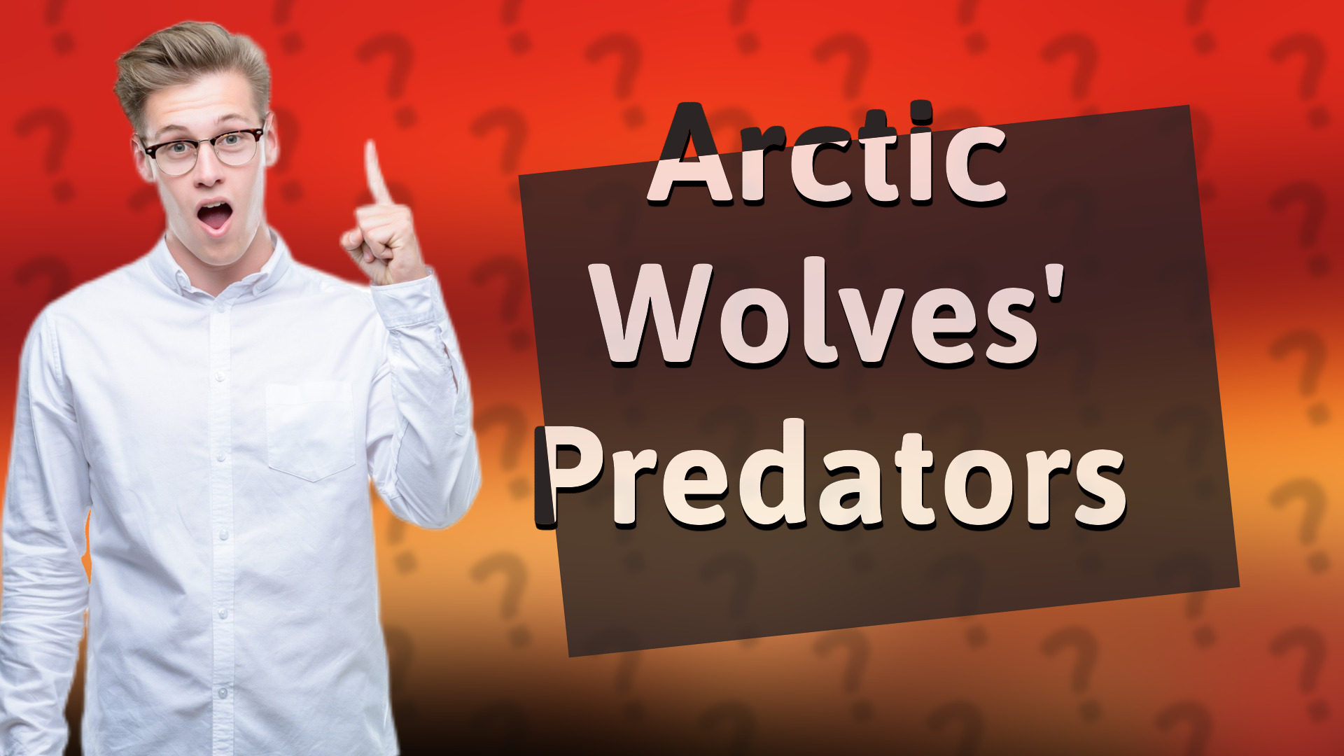 Arctic Wolves' Predators