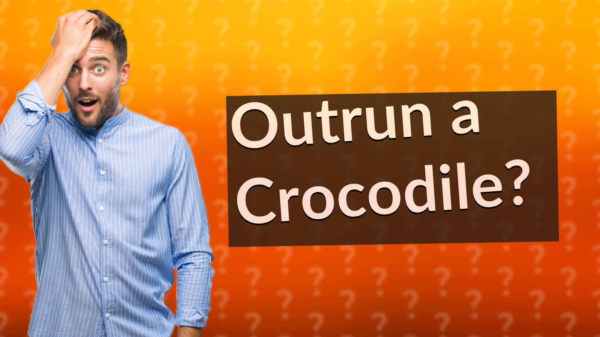Outrun a Crocodile?