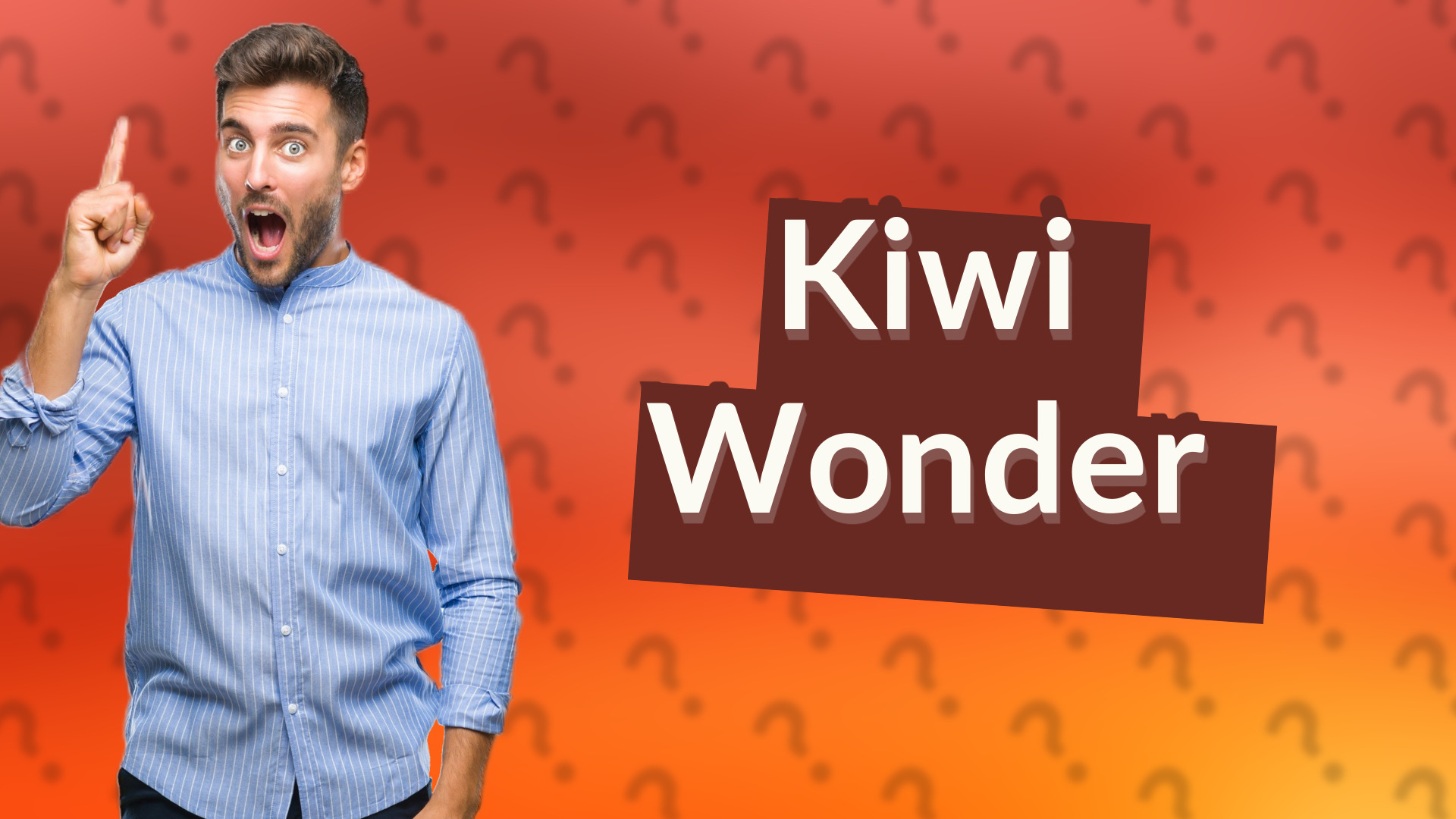 Kiwi Wonder