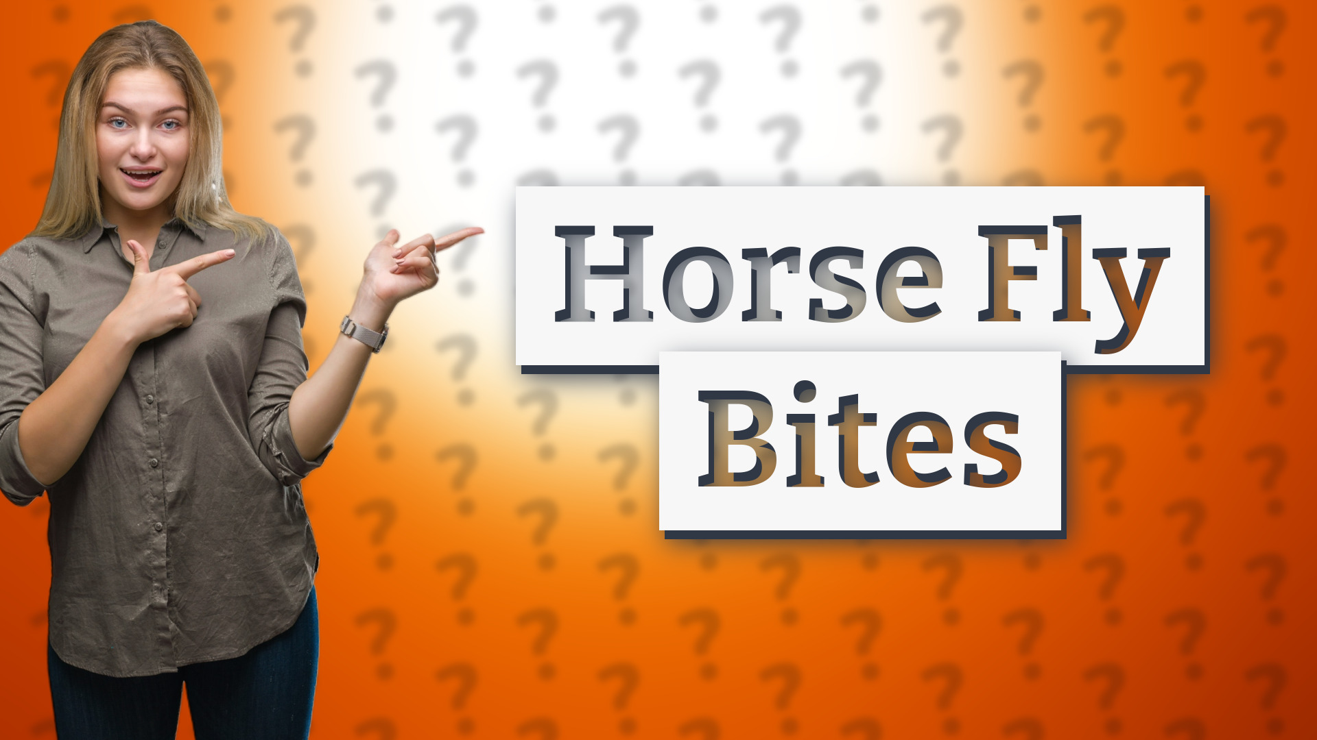 Horse Fly Bites