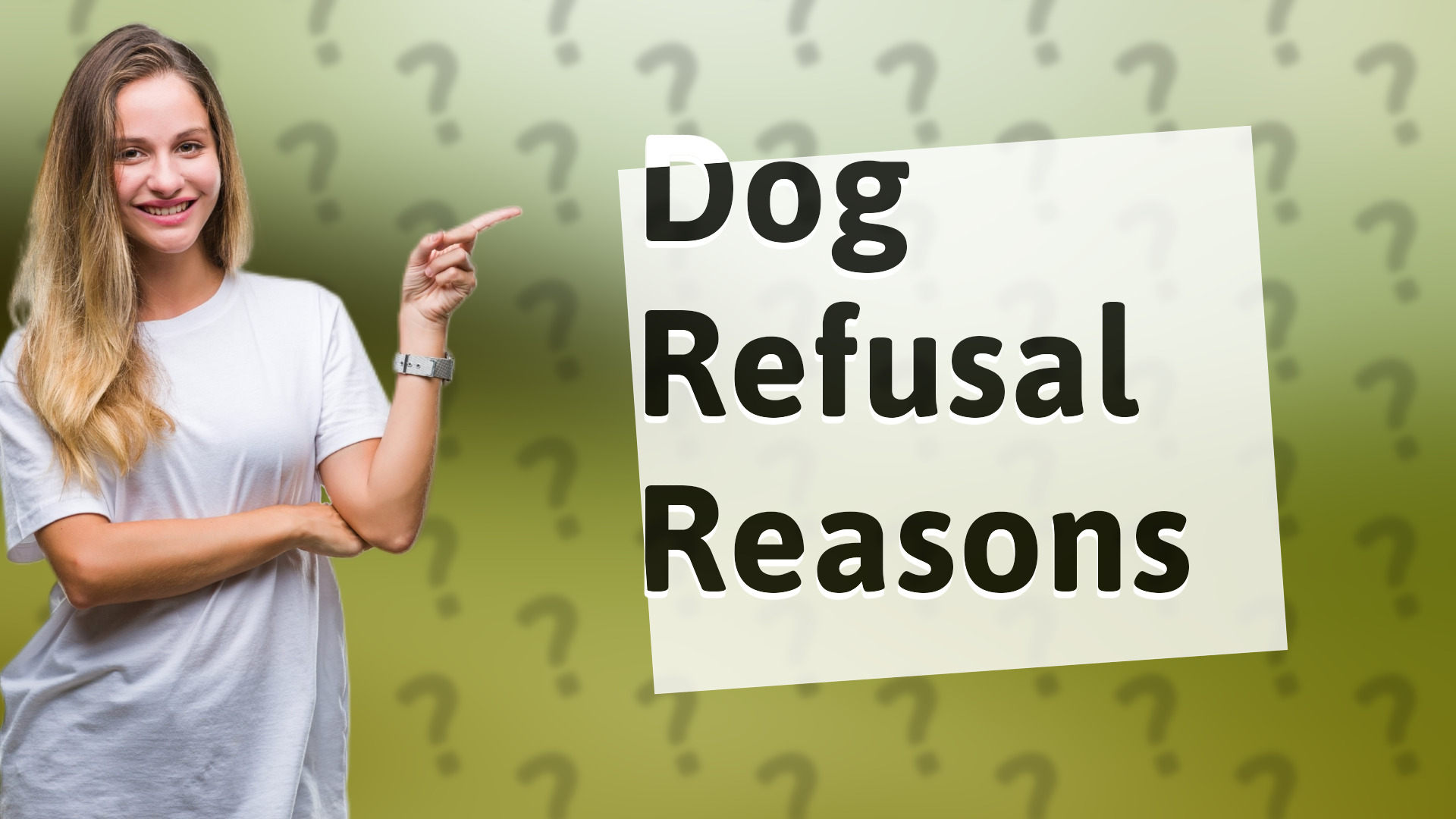 Dog Refusal Reasons
