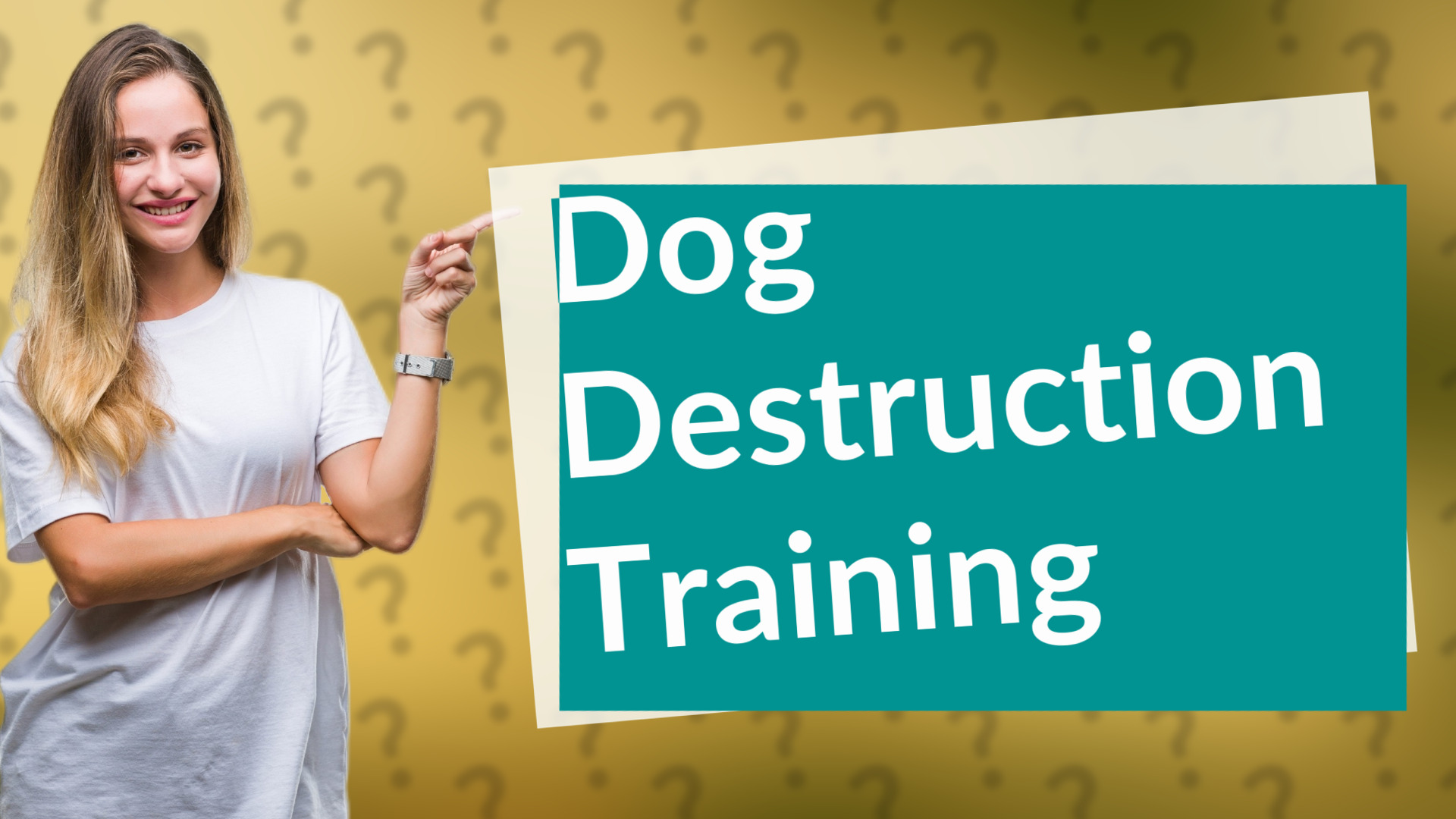 Dog Destruction Training