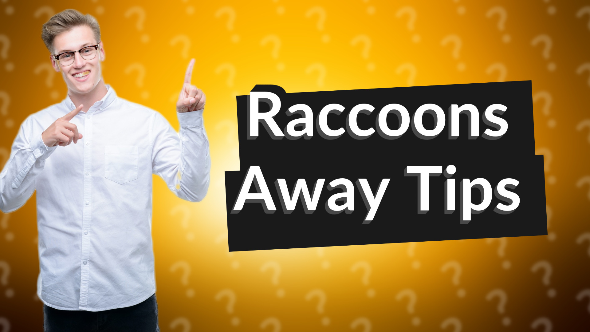 Raccoons Away Tips