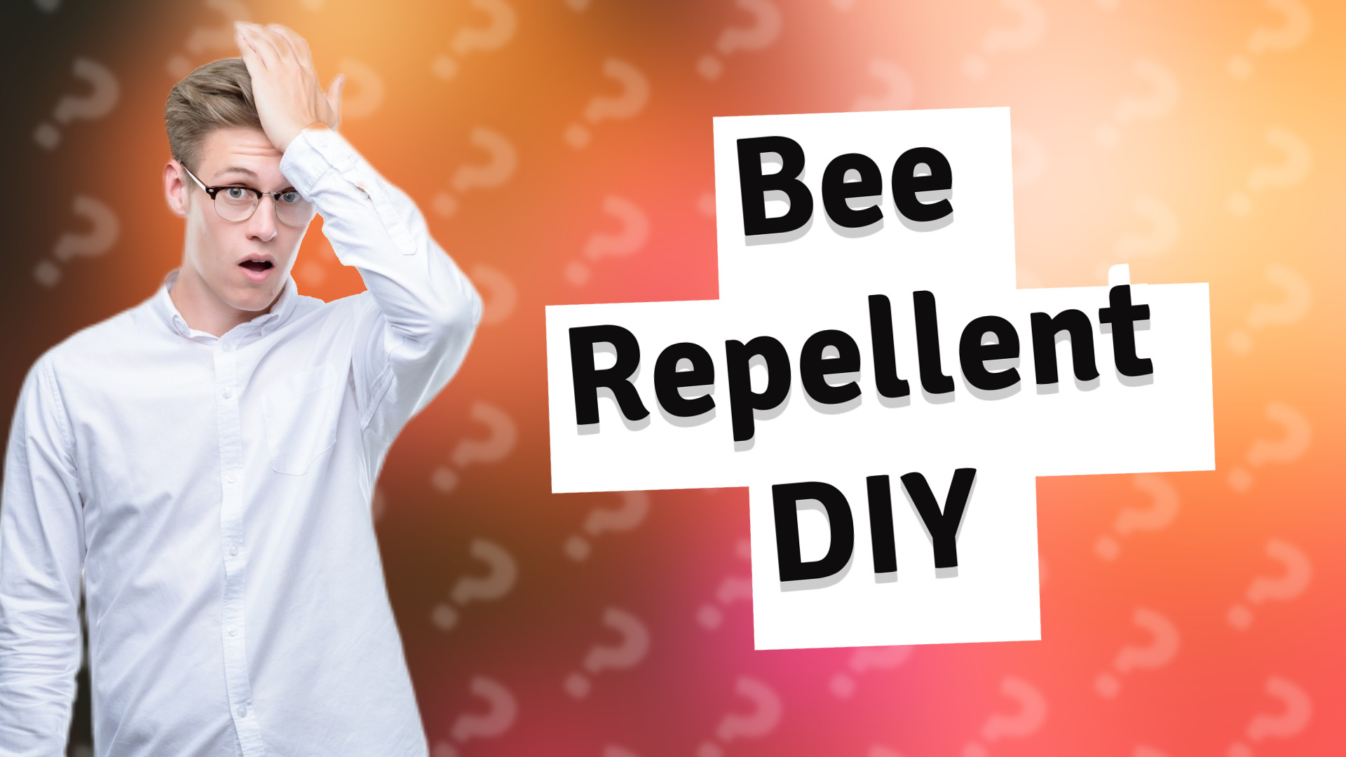 Bee Repellent DIY