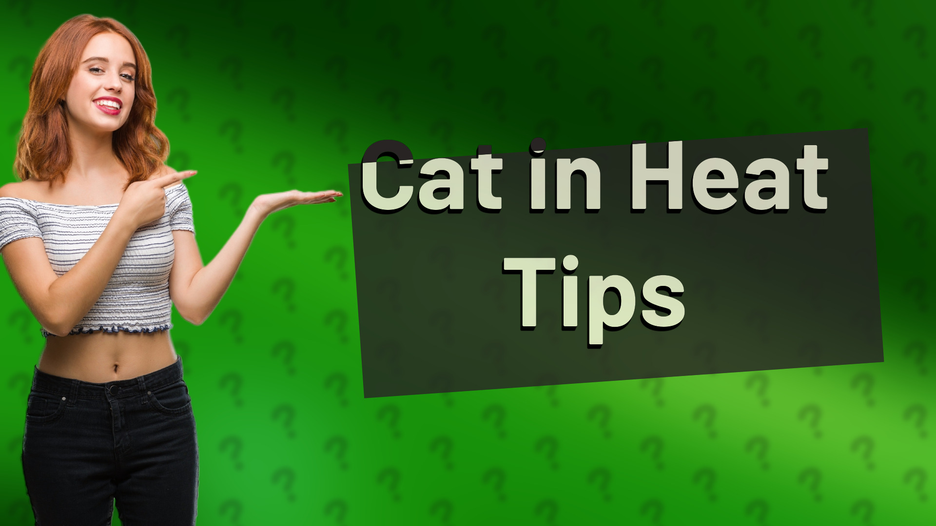 Cat in Heat Tips