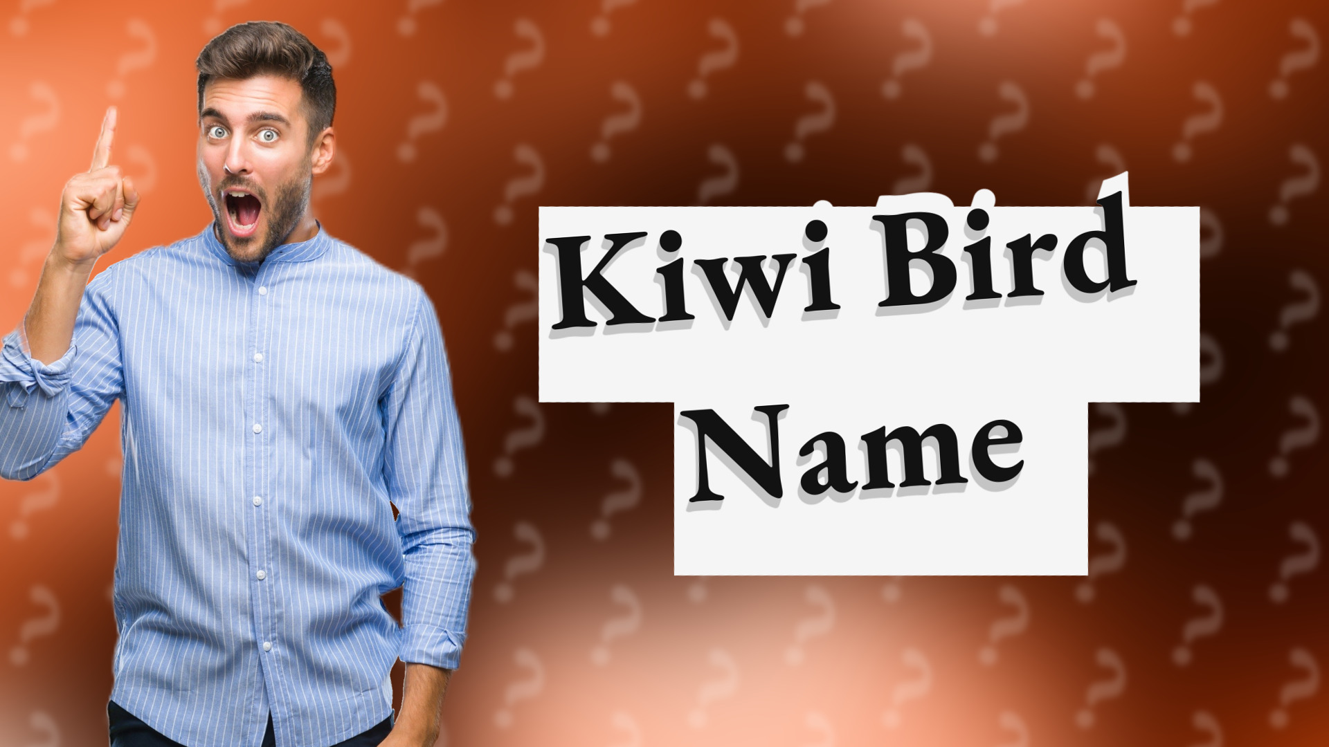 Kiwi Bird Name