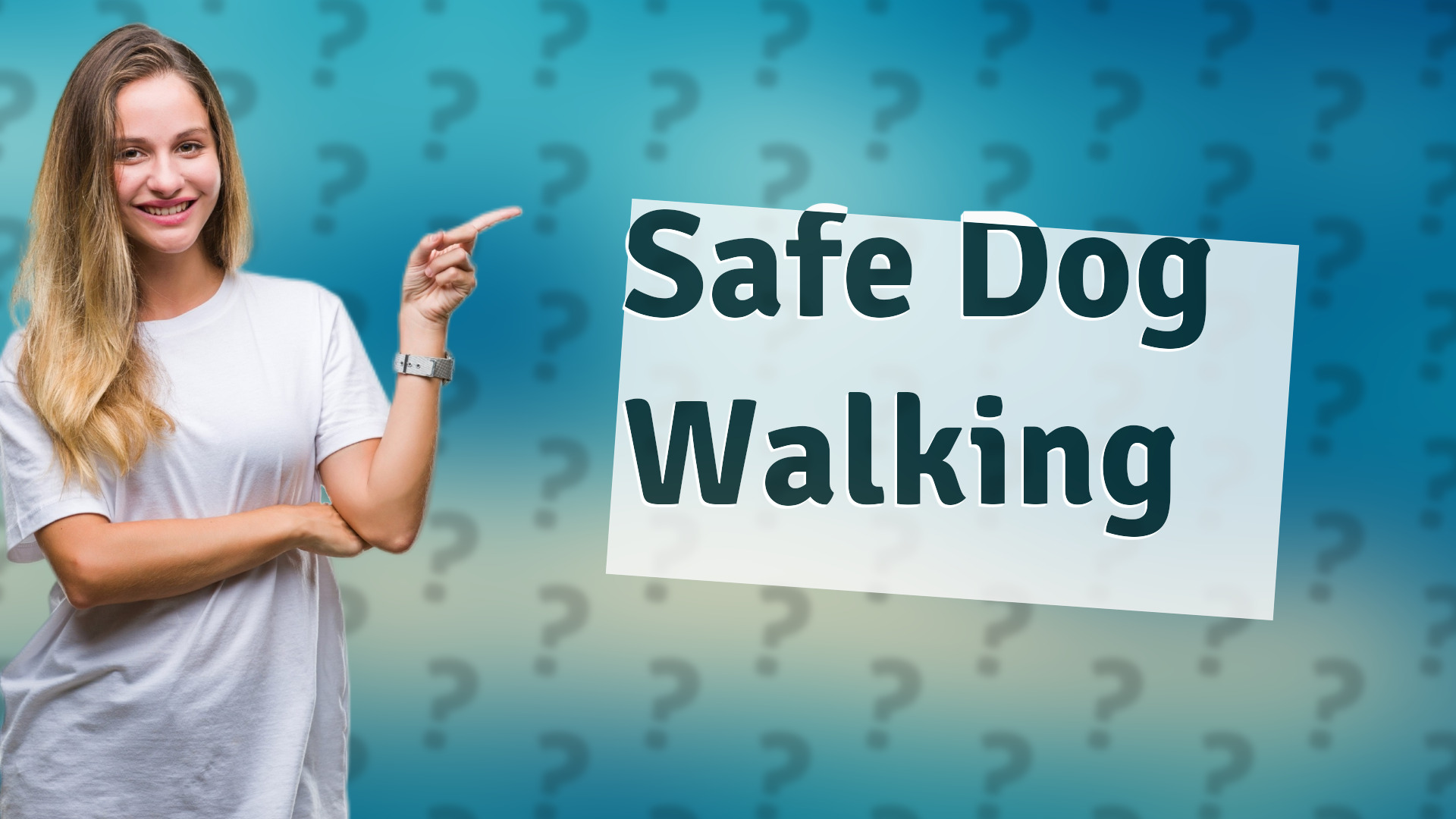 Safe Dog Walking