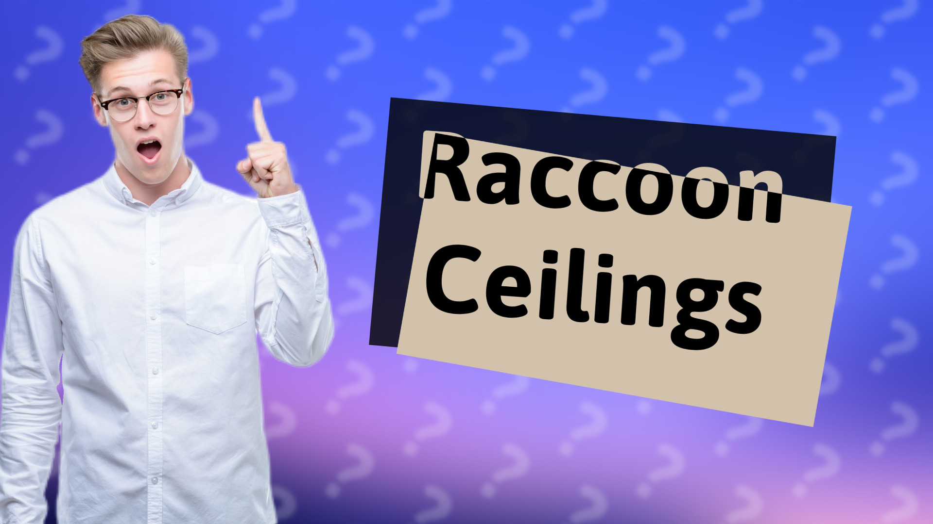 Raccoon Ceilings
