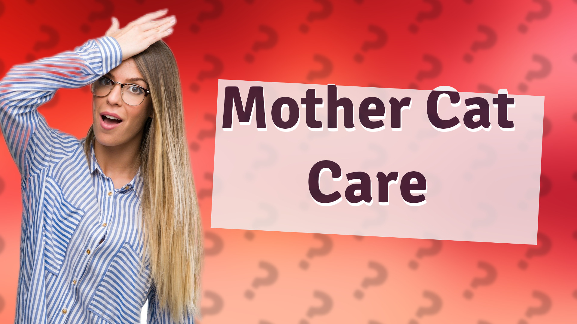 Mother Cat Care