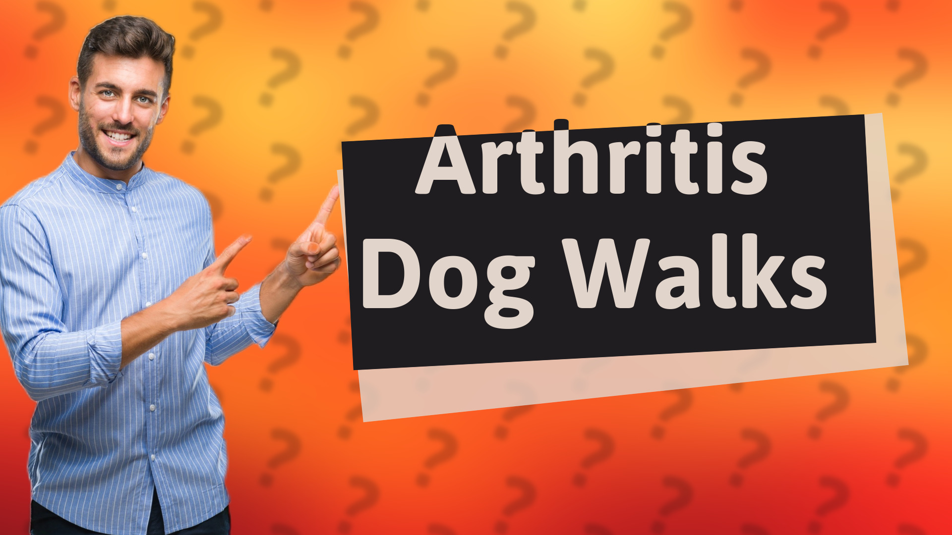 Arthritis Dog Walks