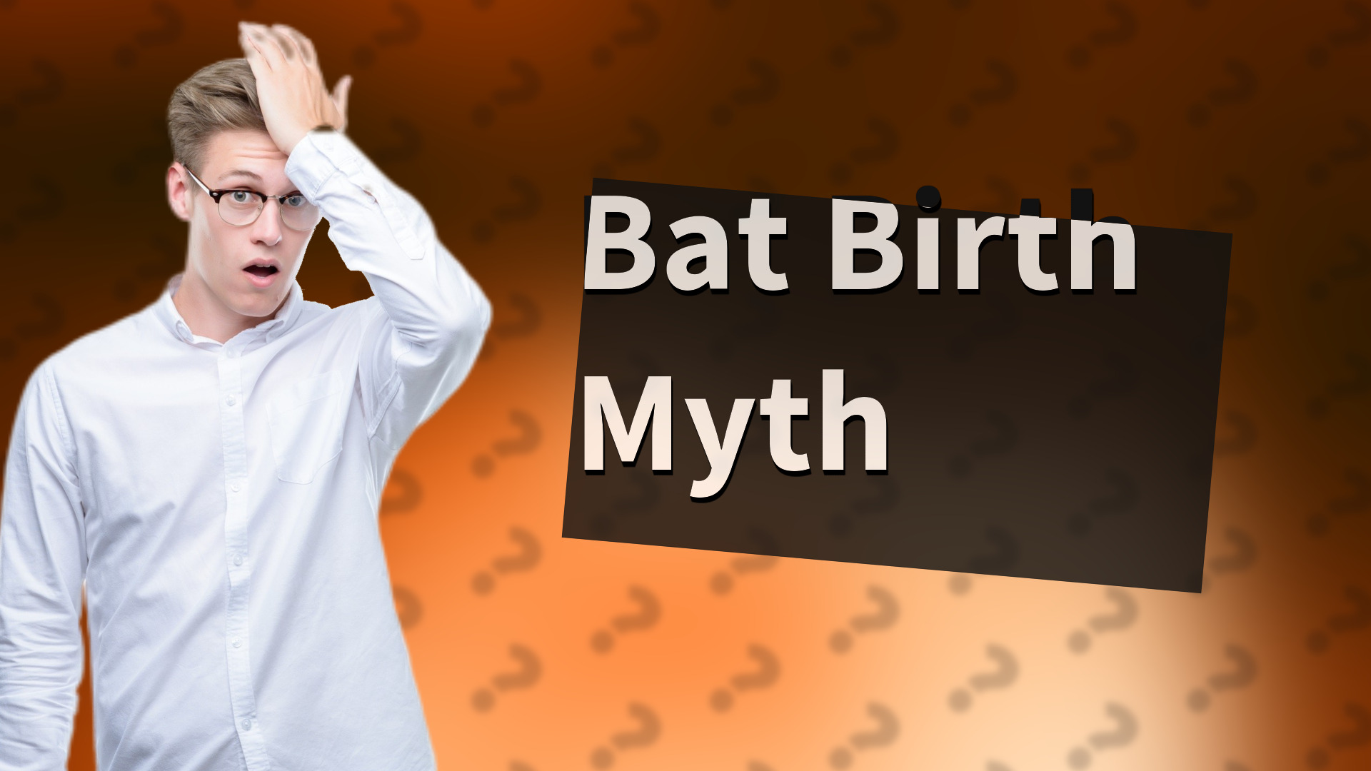 Bat Birth Myth