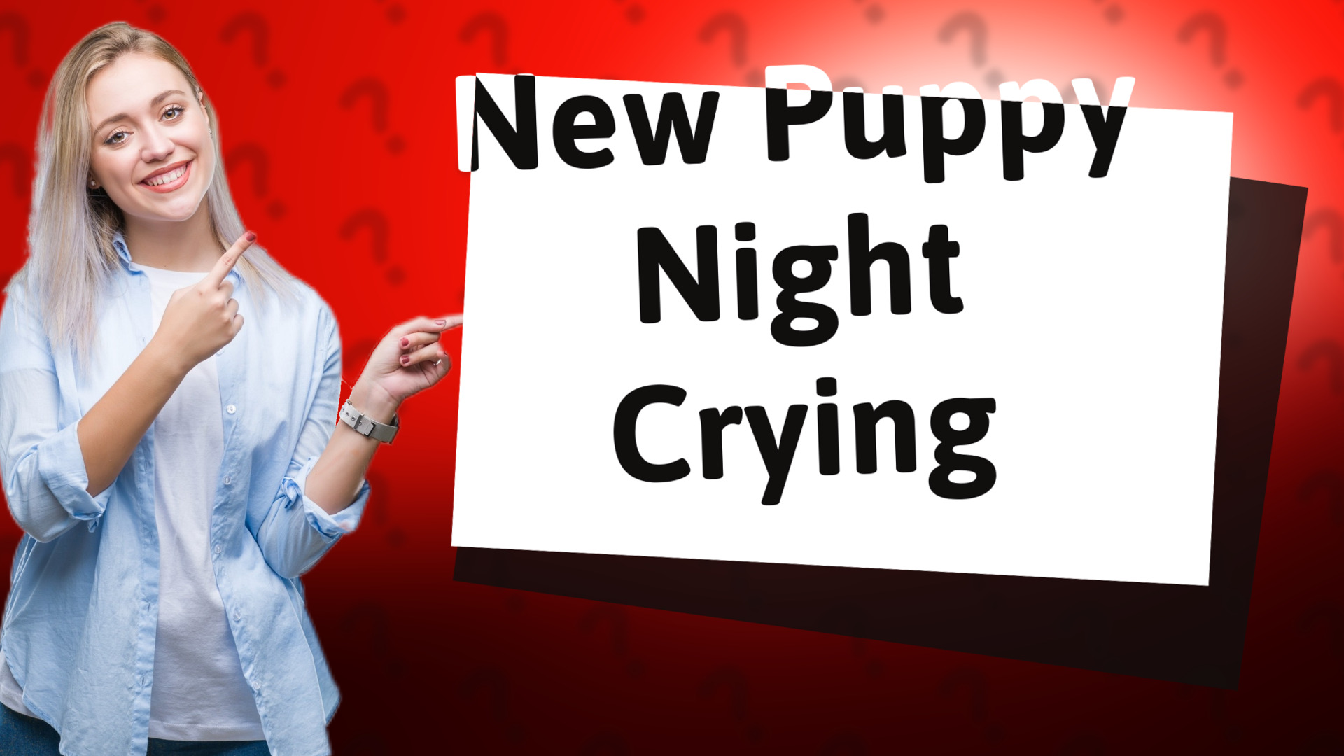 New Puppy Night Crying