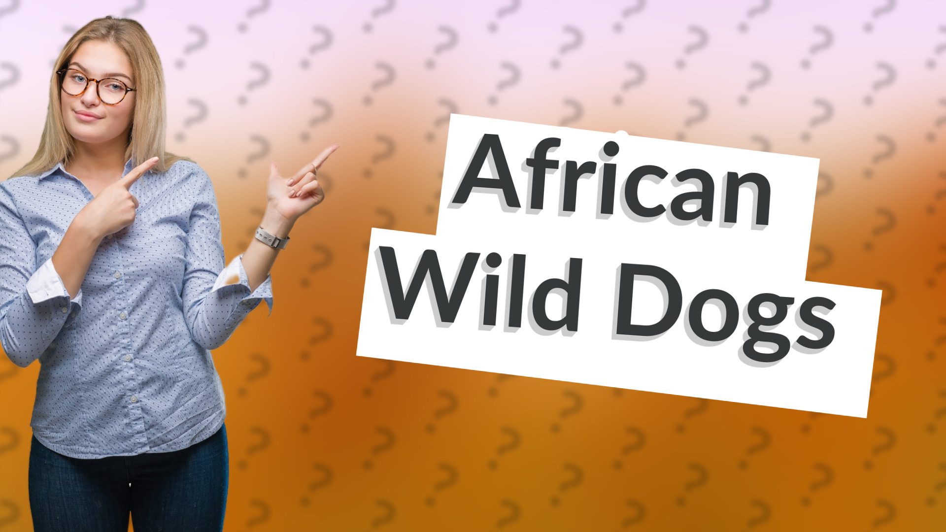 African Wild Dogs