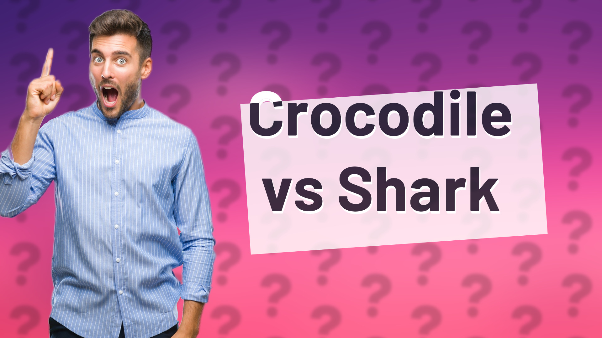 Crocodile vs Shark