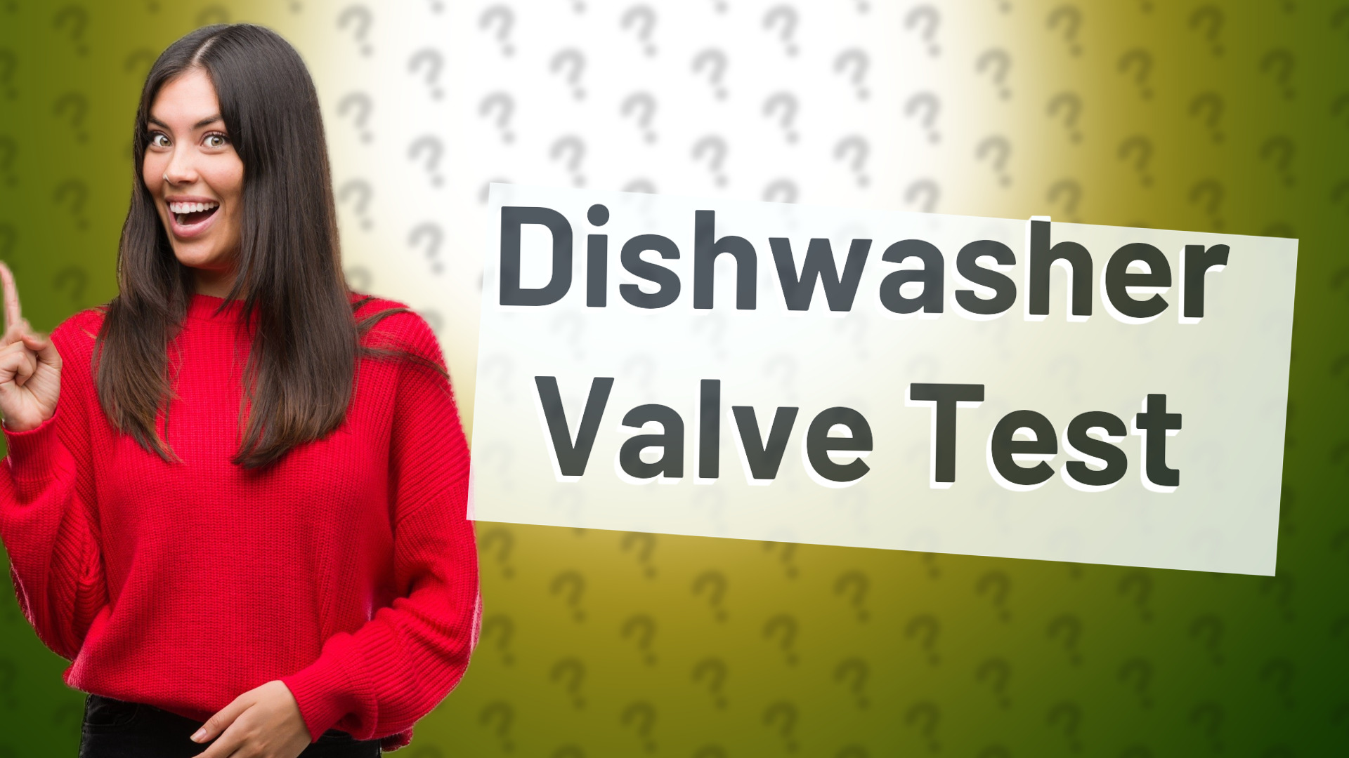 Dishwasher Valve Test