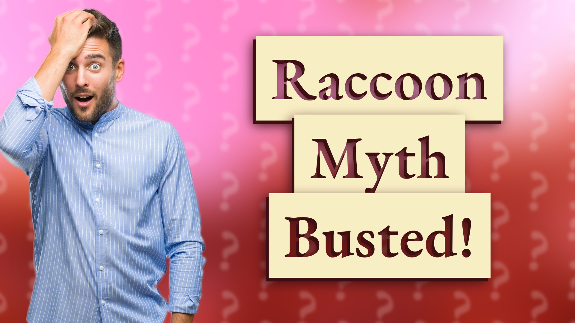 Raccoon Myth Busted!