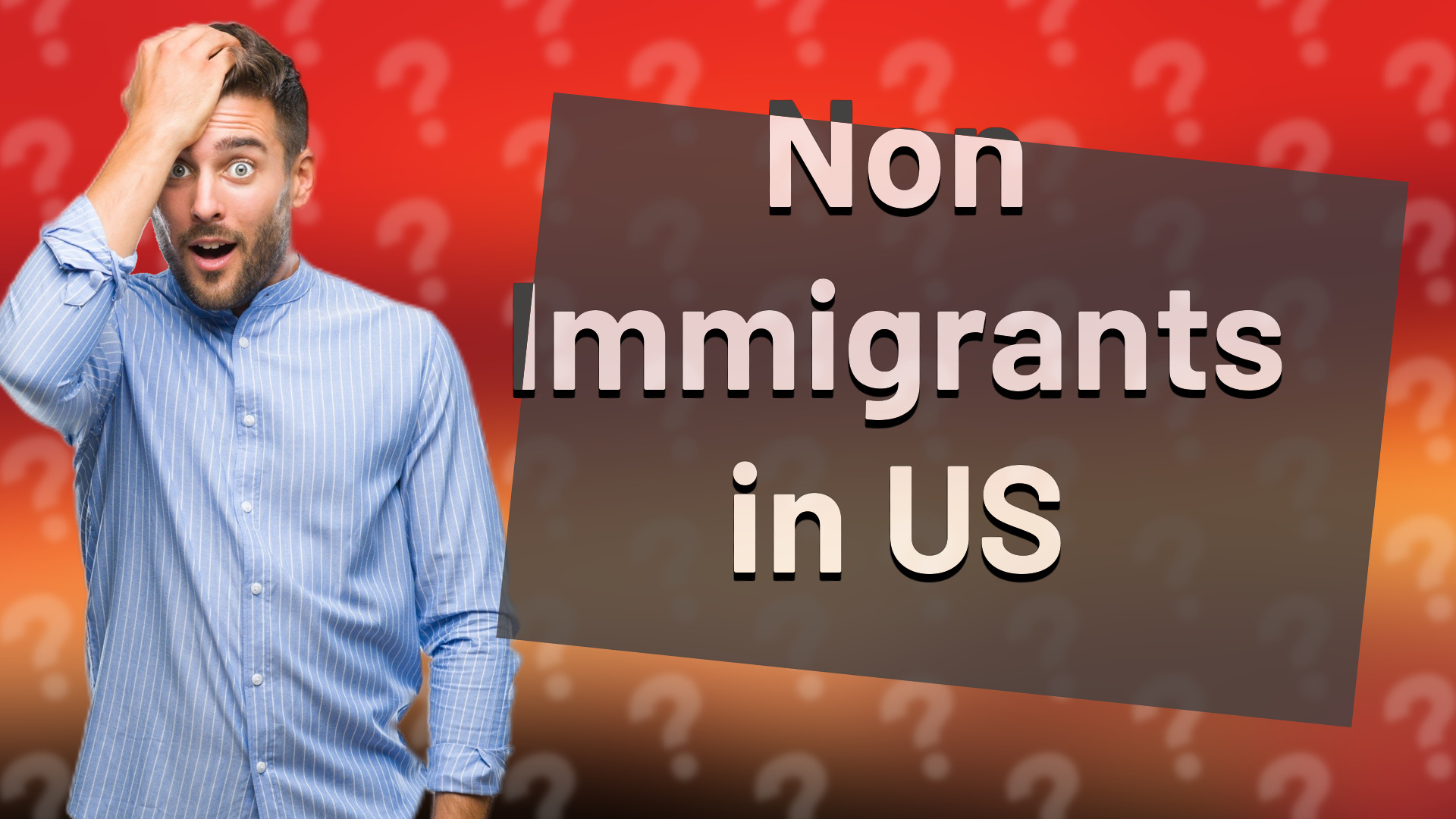 Non Immigrants in US