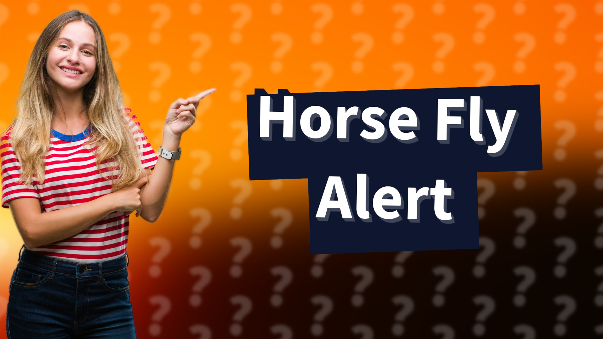 Horse Fly Alert