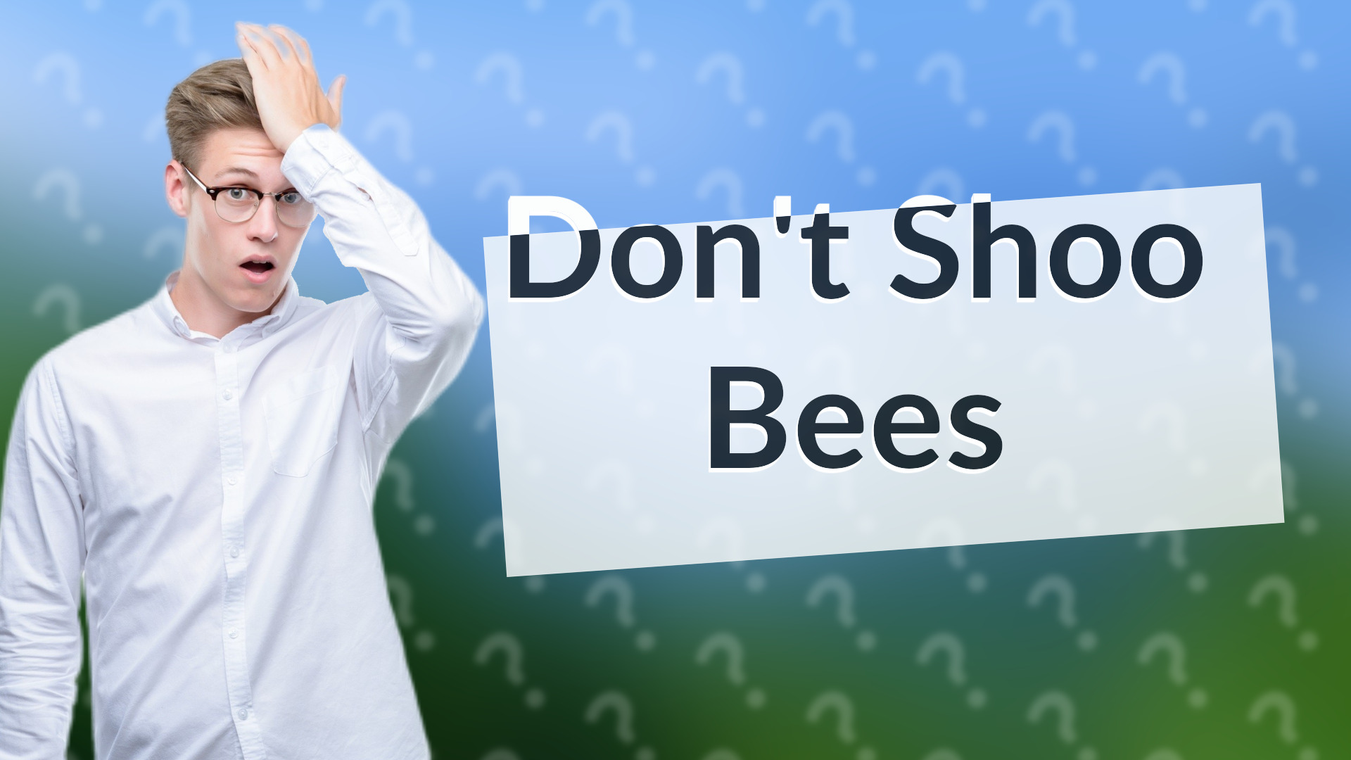 Don't Shoo Bees