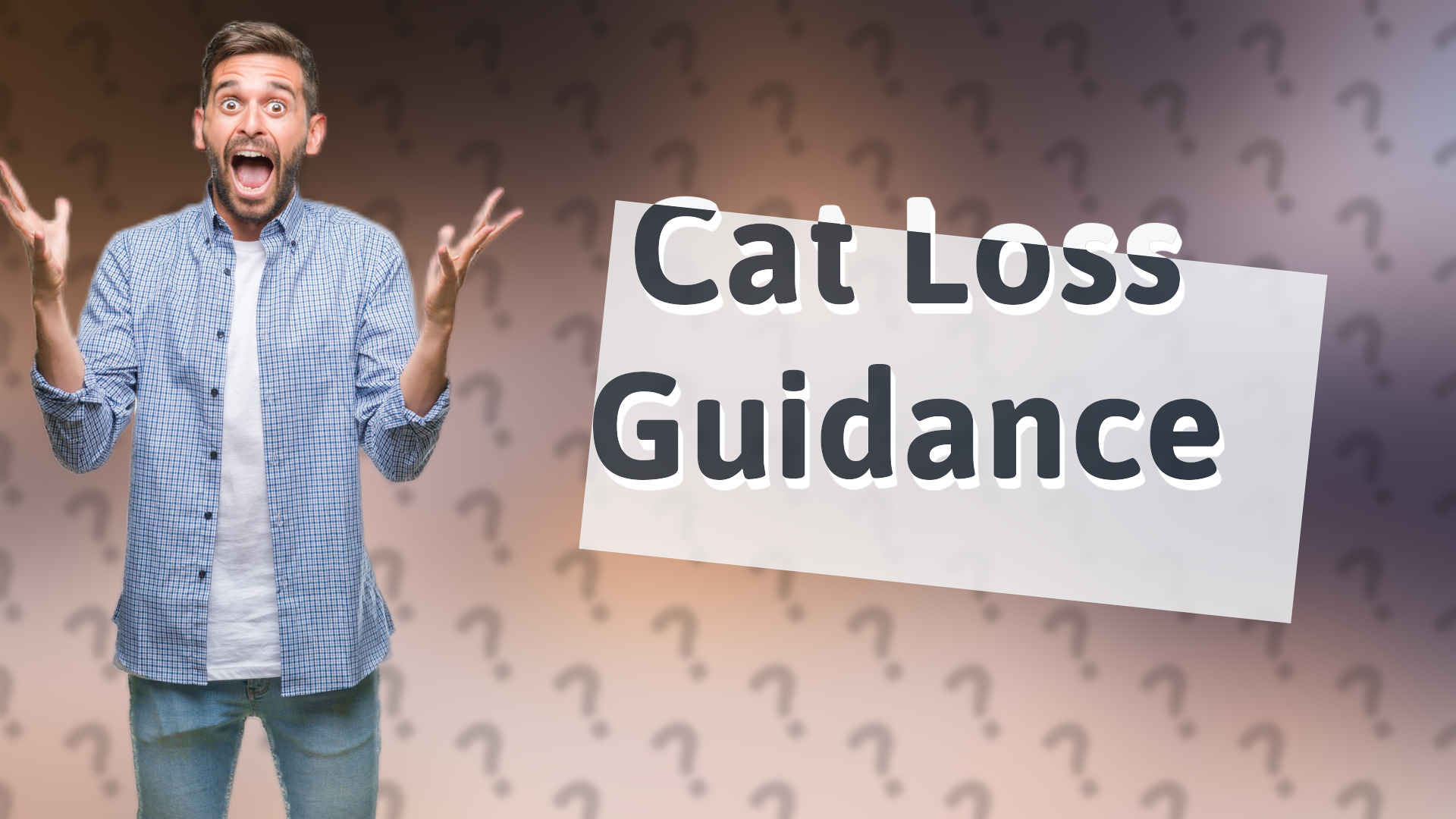Cat Loss Guidance