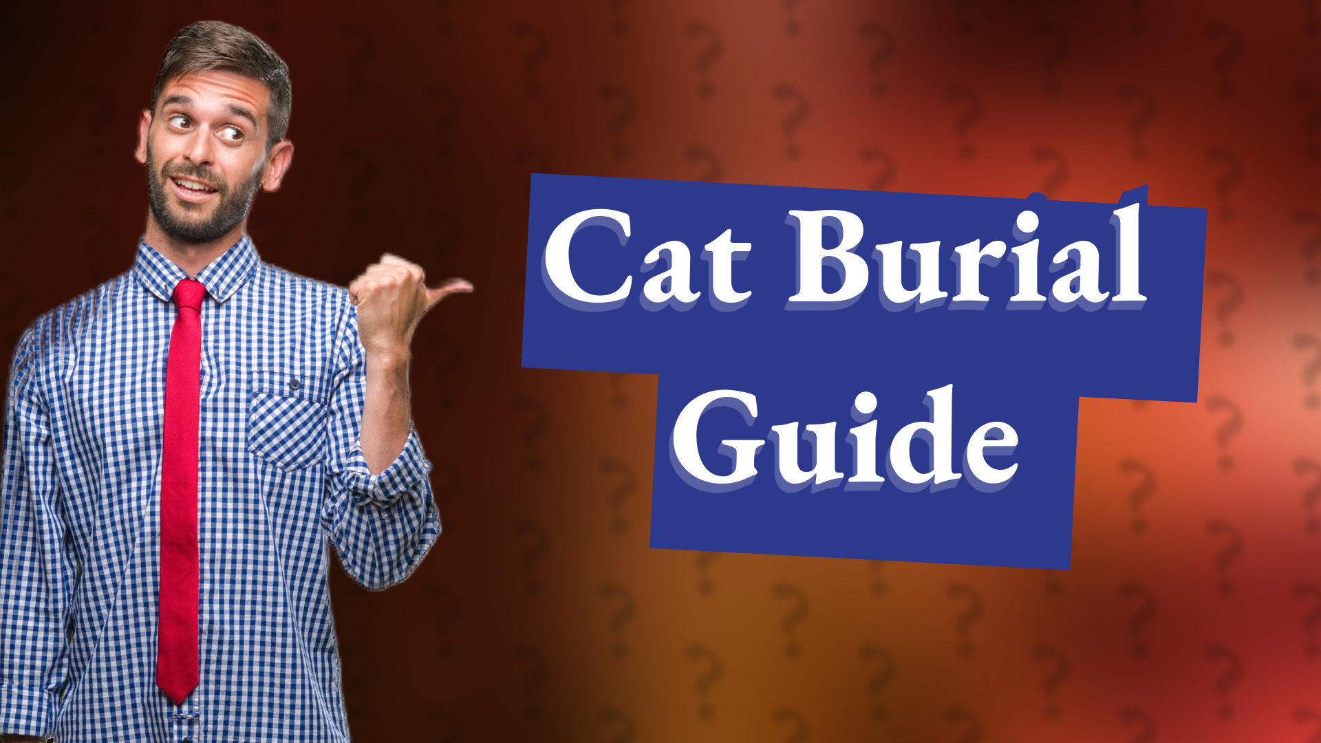 Cat Burial Guide