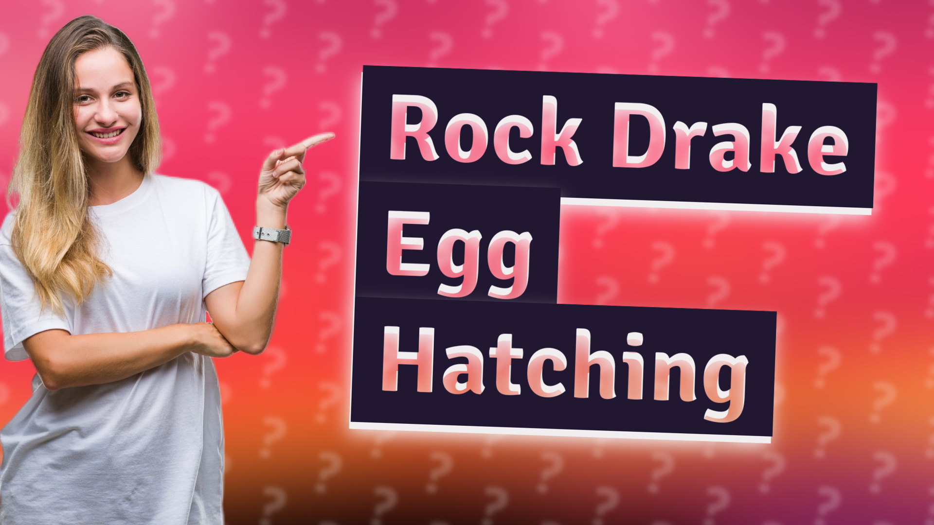 Rock Drake Egg Hatching