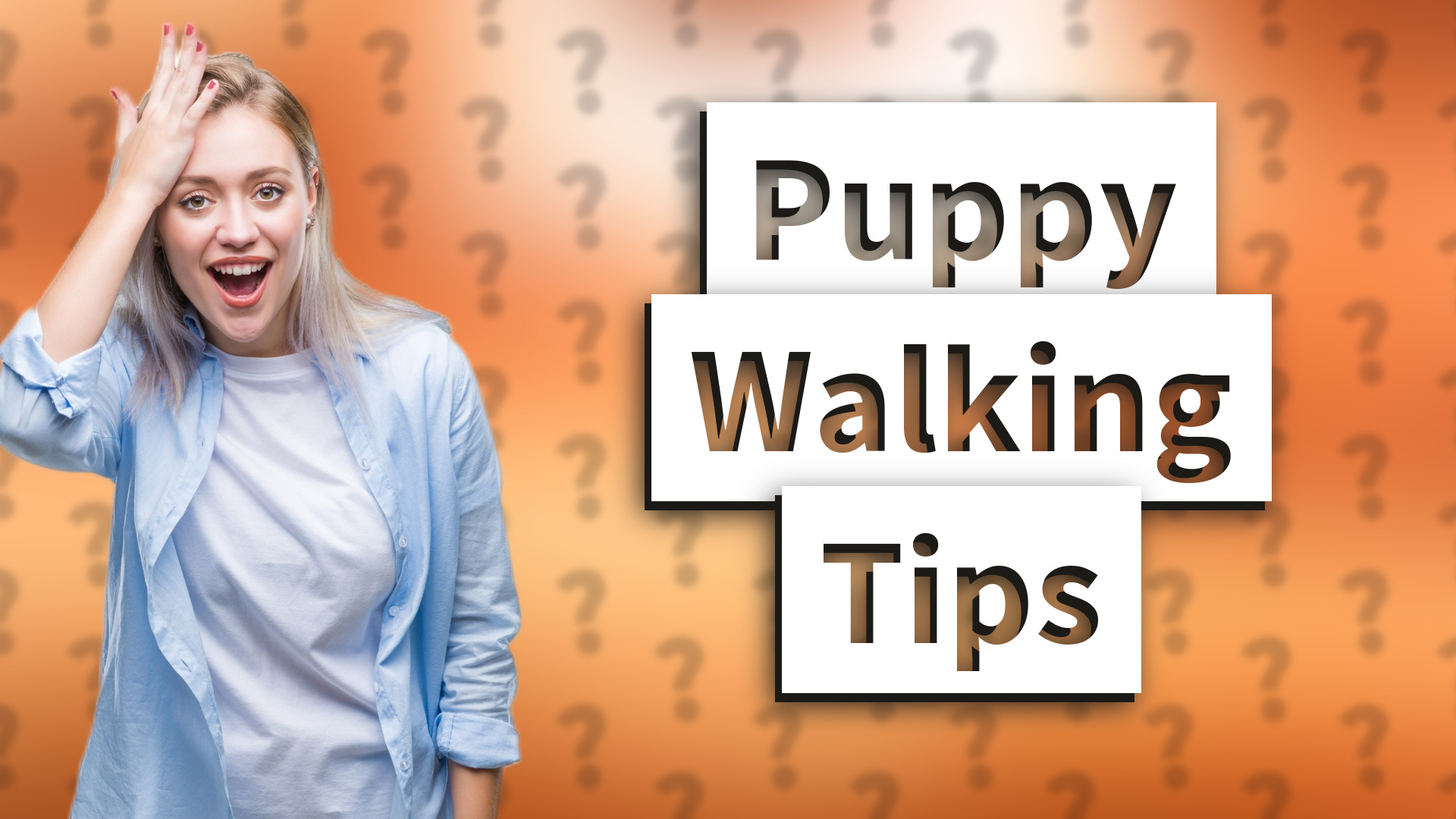 Puppy Walking Tips