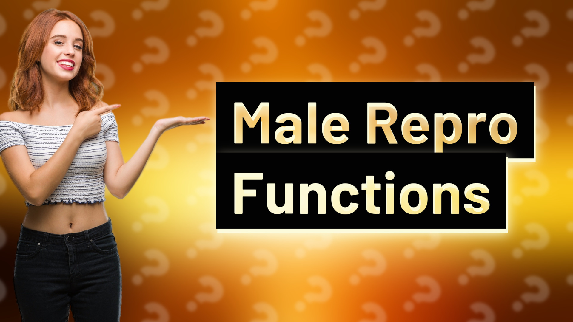 Male Repro Functions