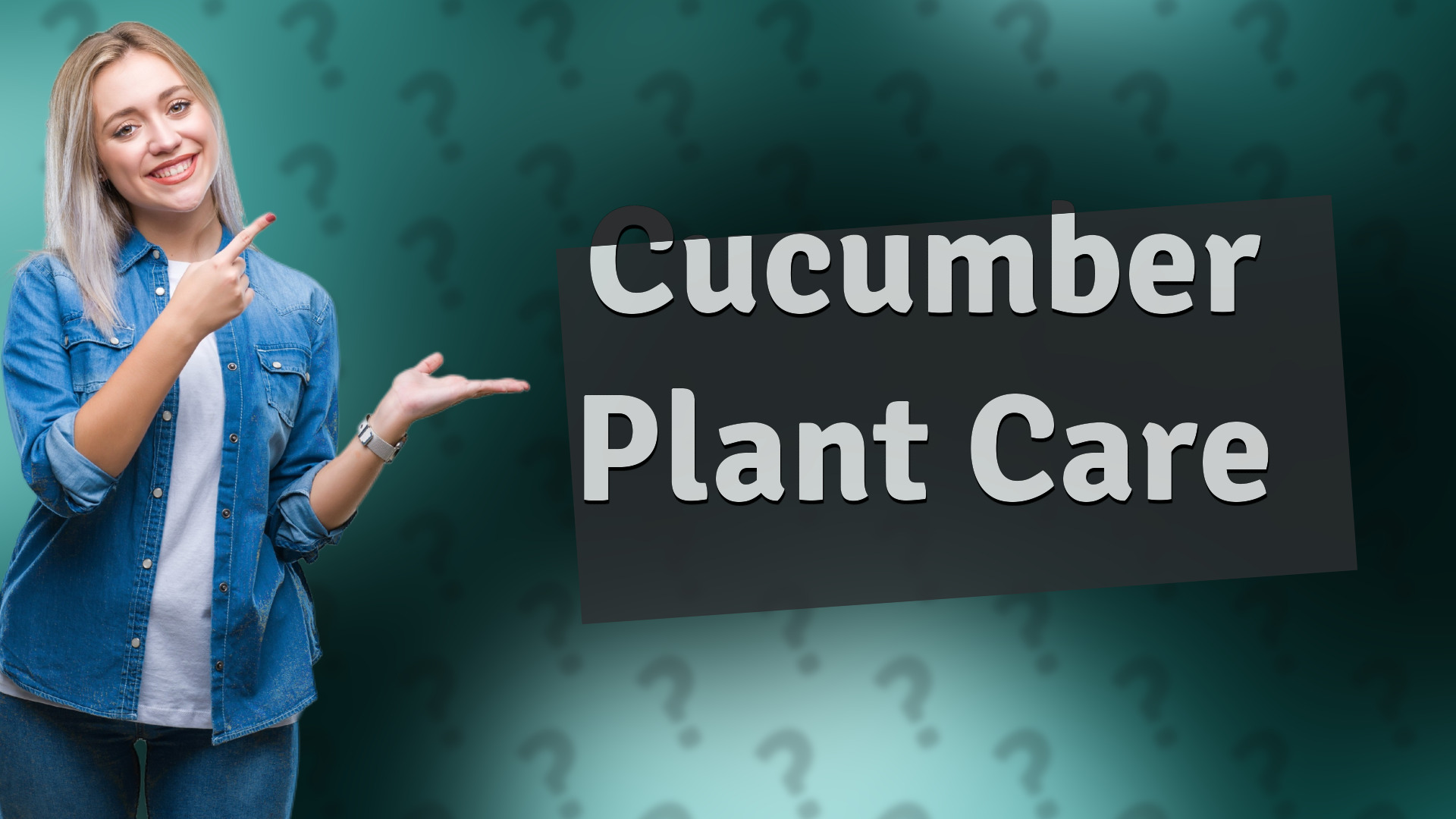 Cucumber Plant Care
