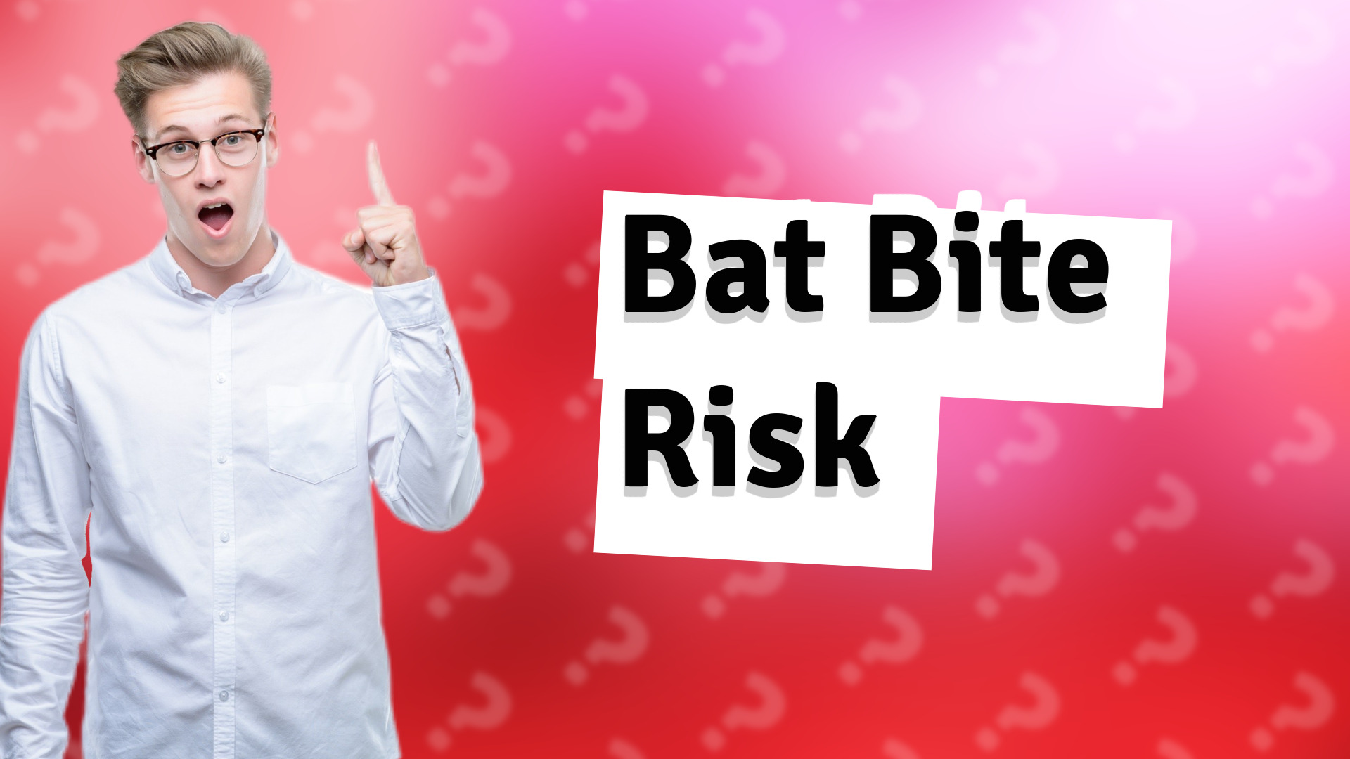 Bat Bite Risk