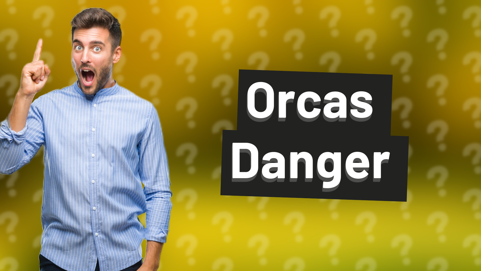 Orcas Danger
