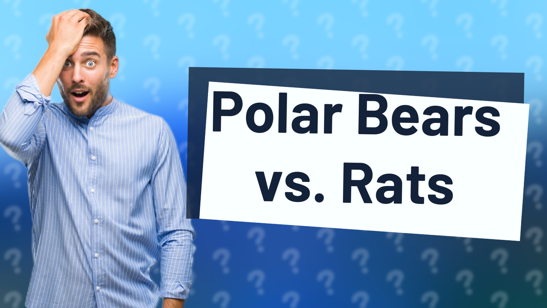 Polar Bears vs. Rats