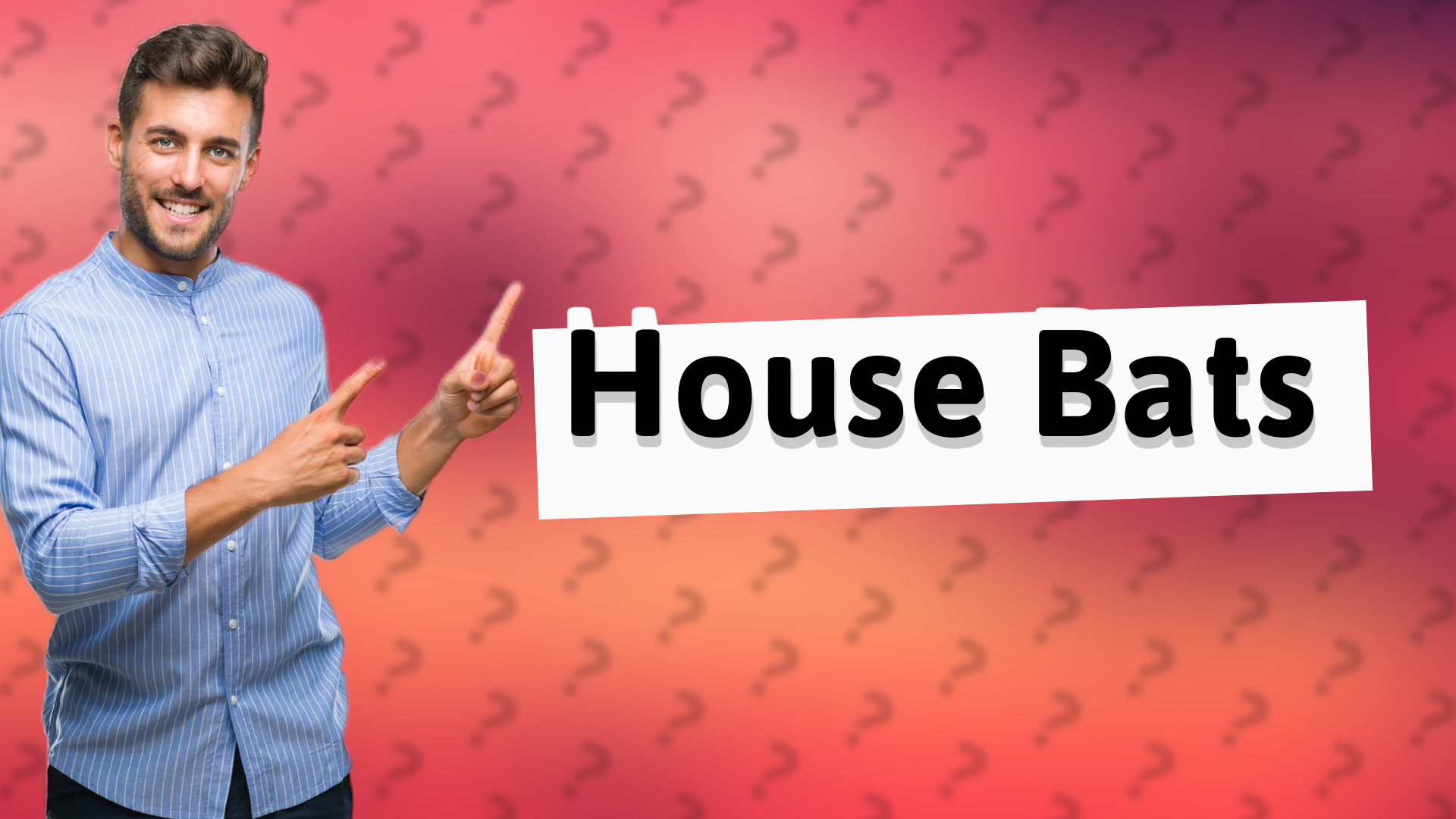 House Bats