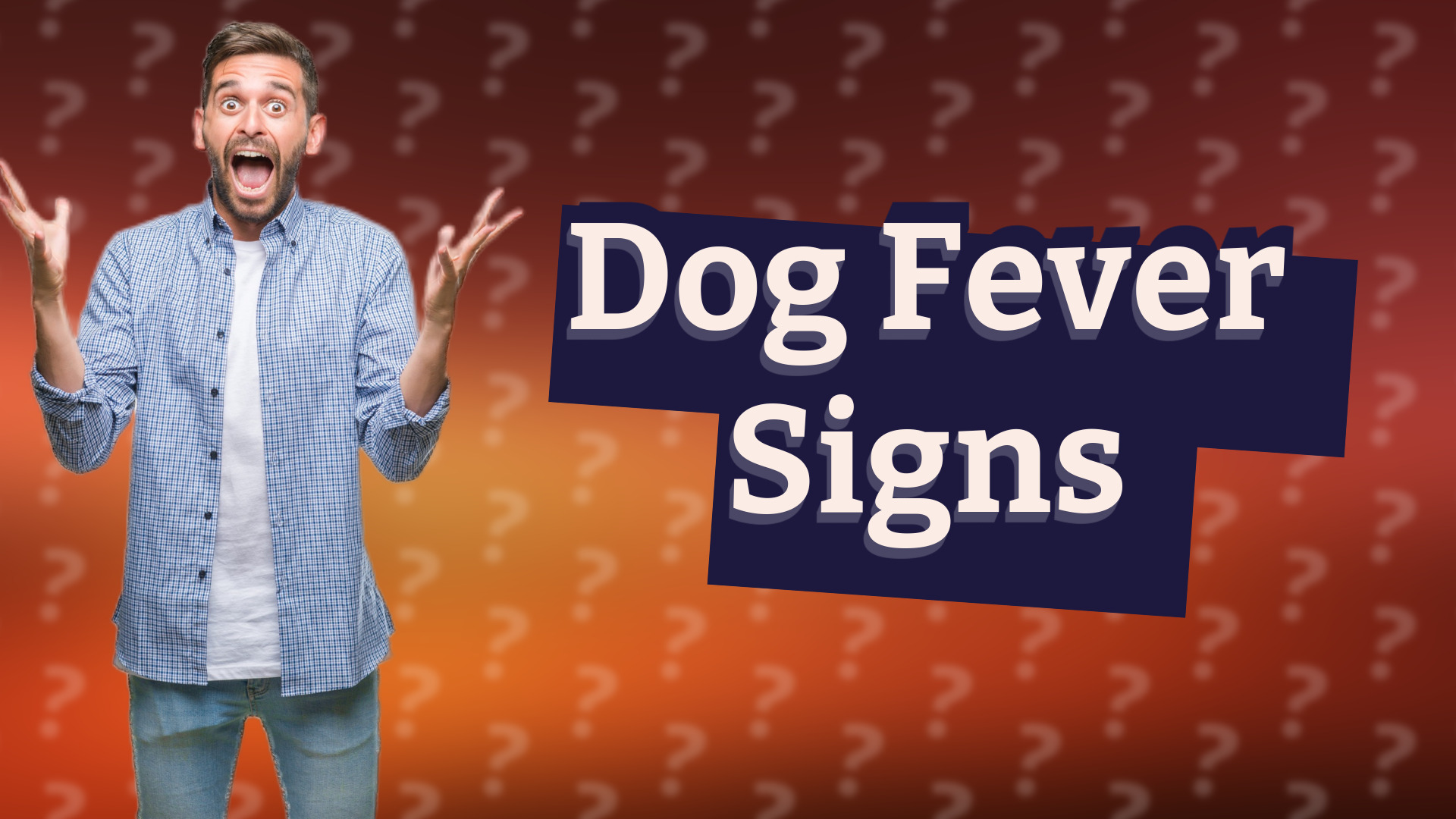 Dog Fever Signs