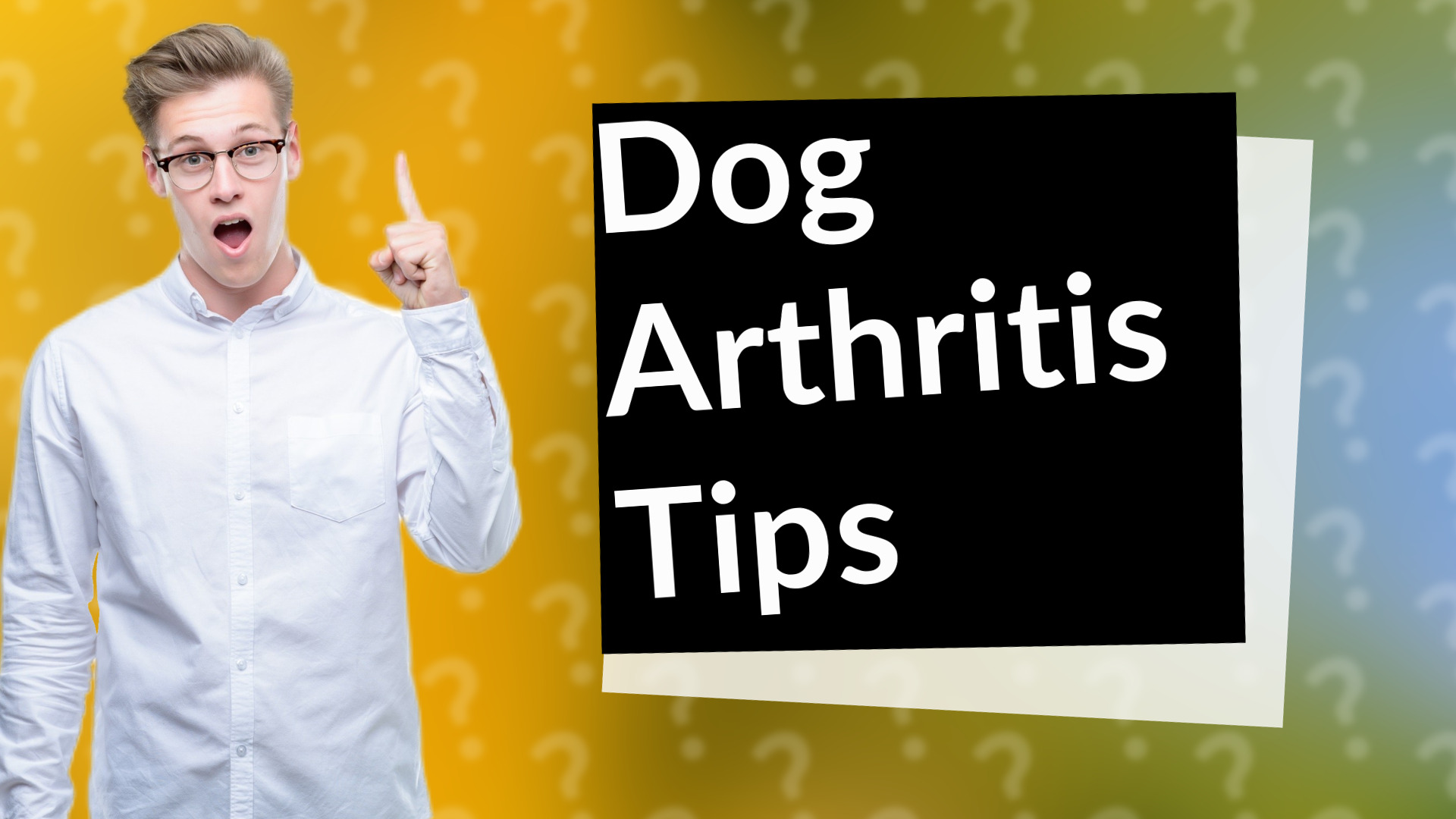 Dog Arthritis Tips