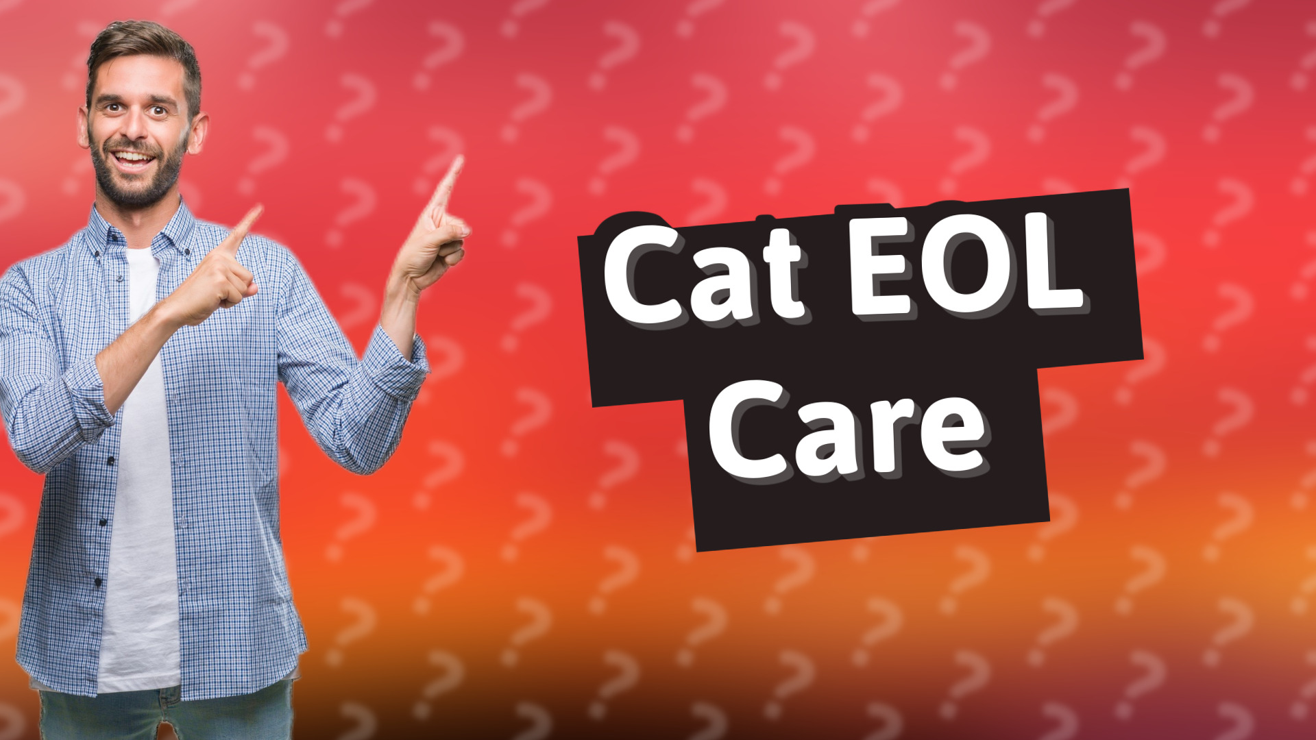 Cat EOL Care
