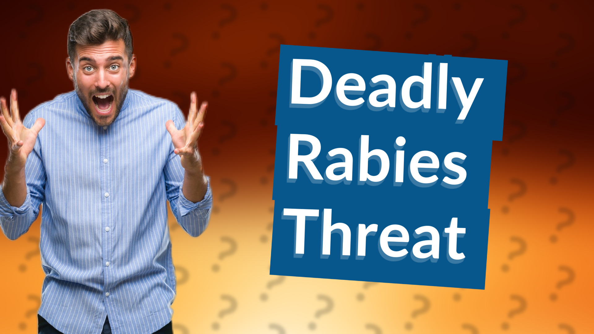 Deadly Rabies Threat