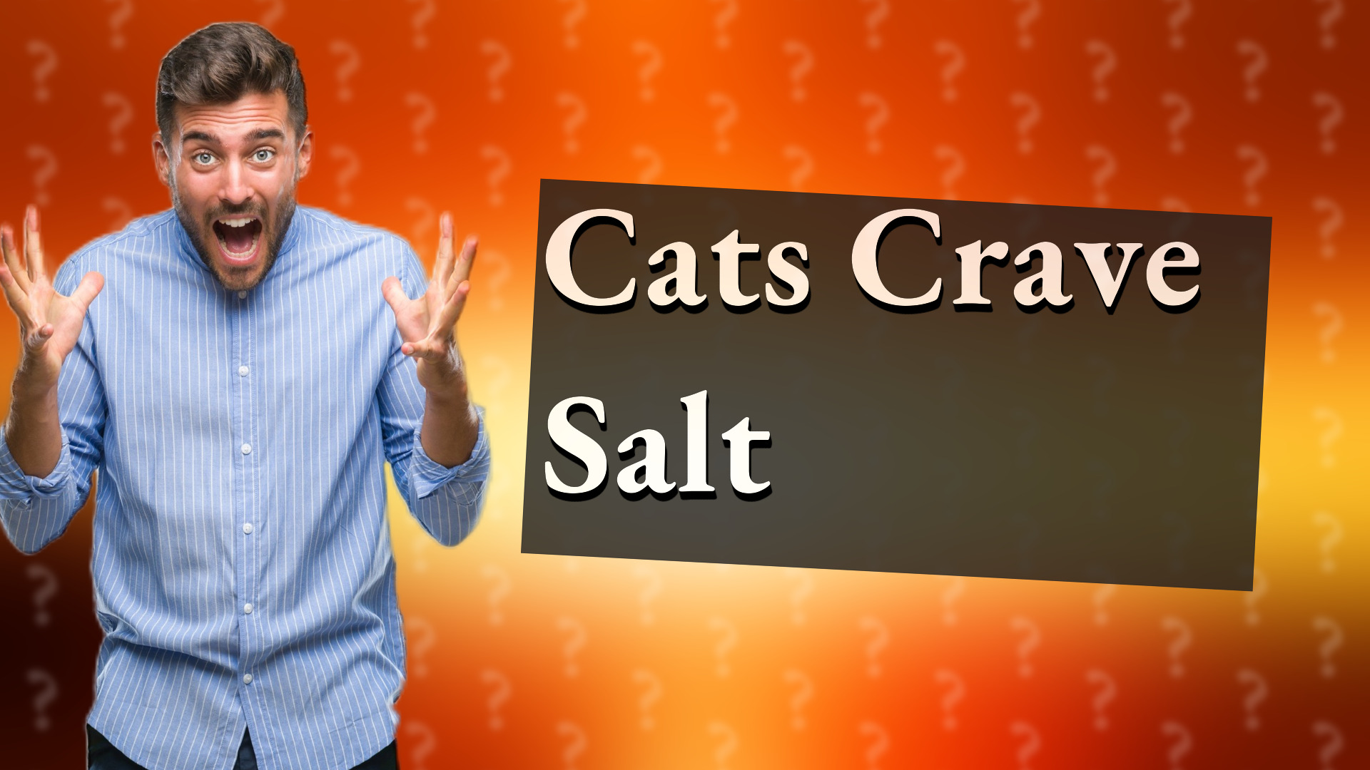 Cats Crave Salt