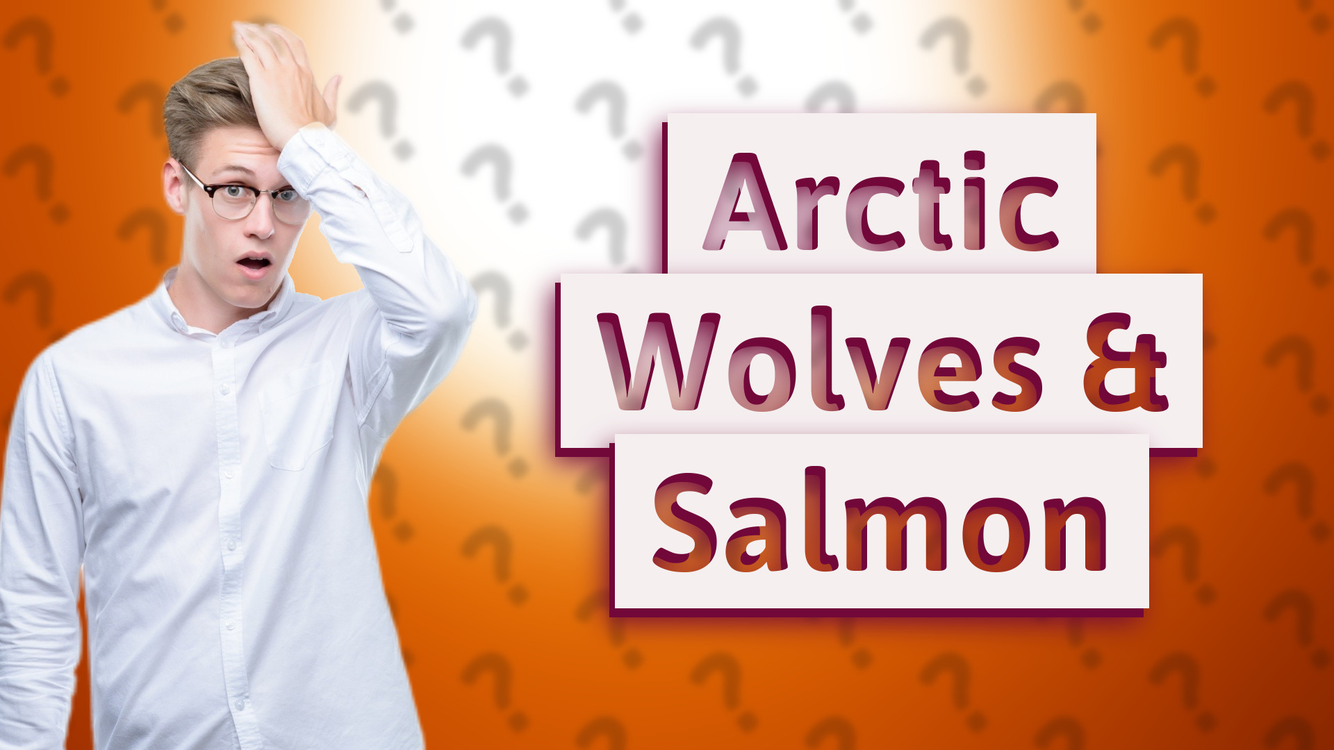 Arctic Wolves & Salmon