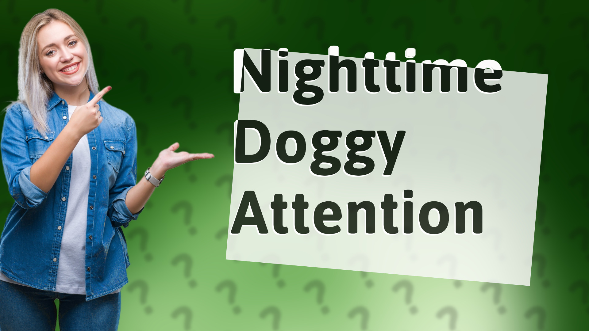 Nighttime Doggy Attention