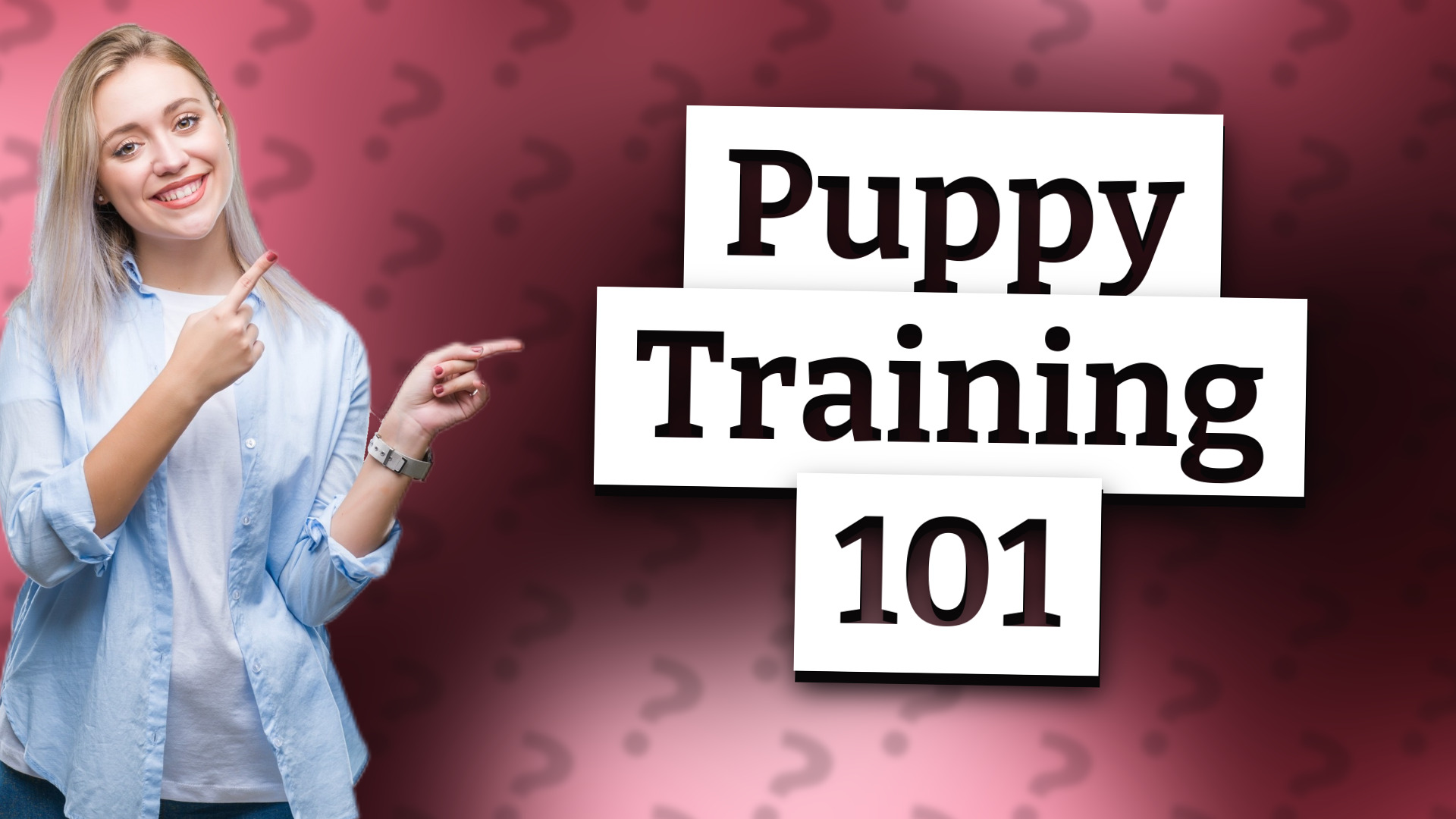 Puppy Training 101