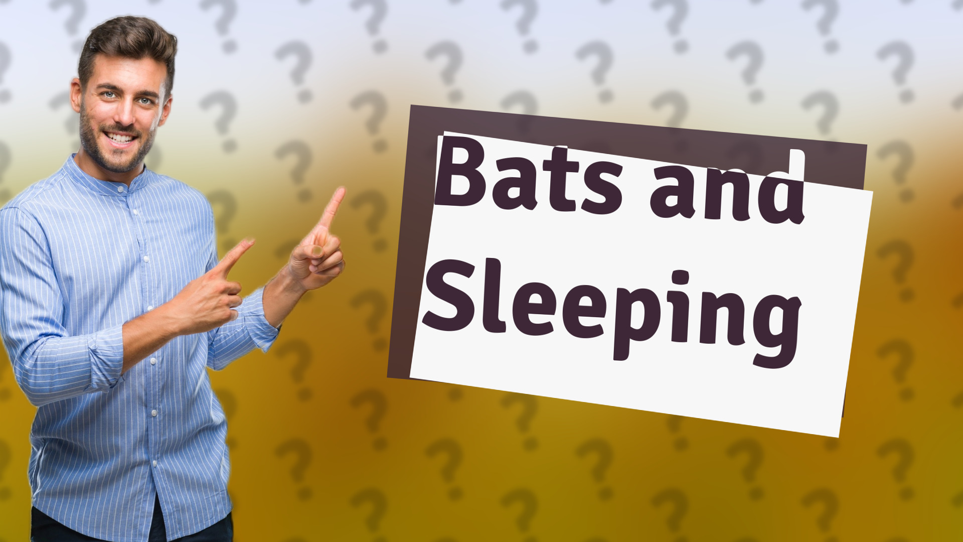 Bats and Sleeping