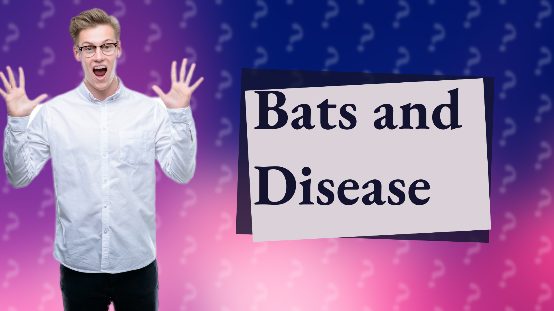 Bats and Disease